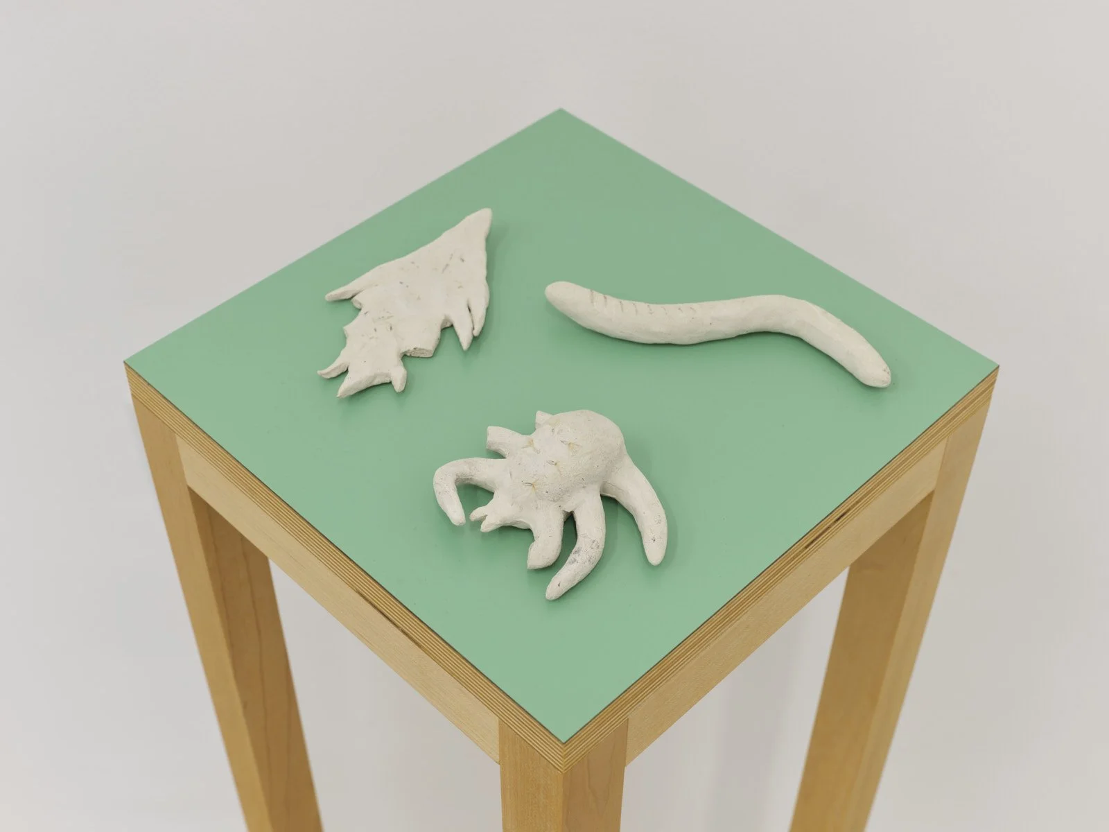 Lynn Fang - Phytoremediation Seedballs