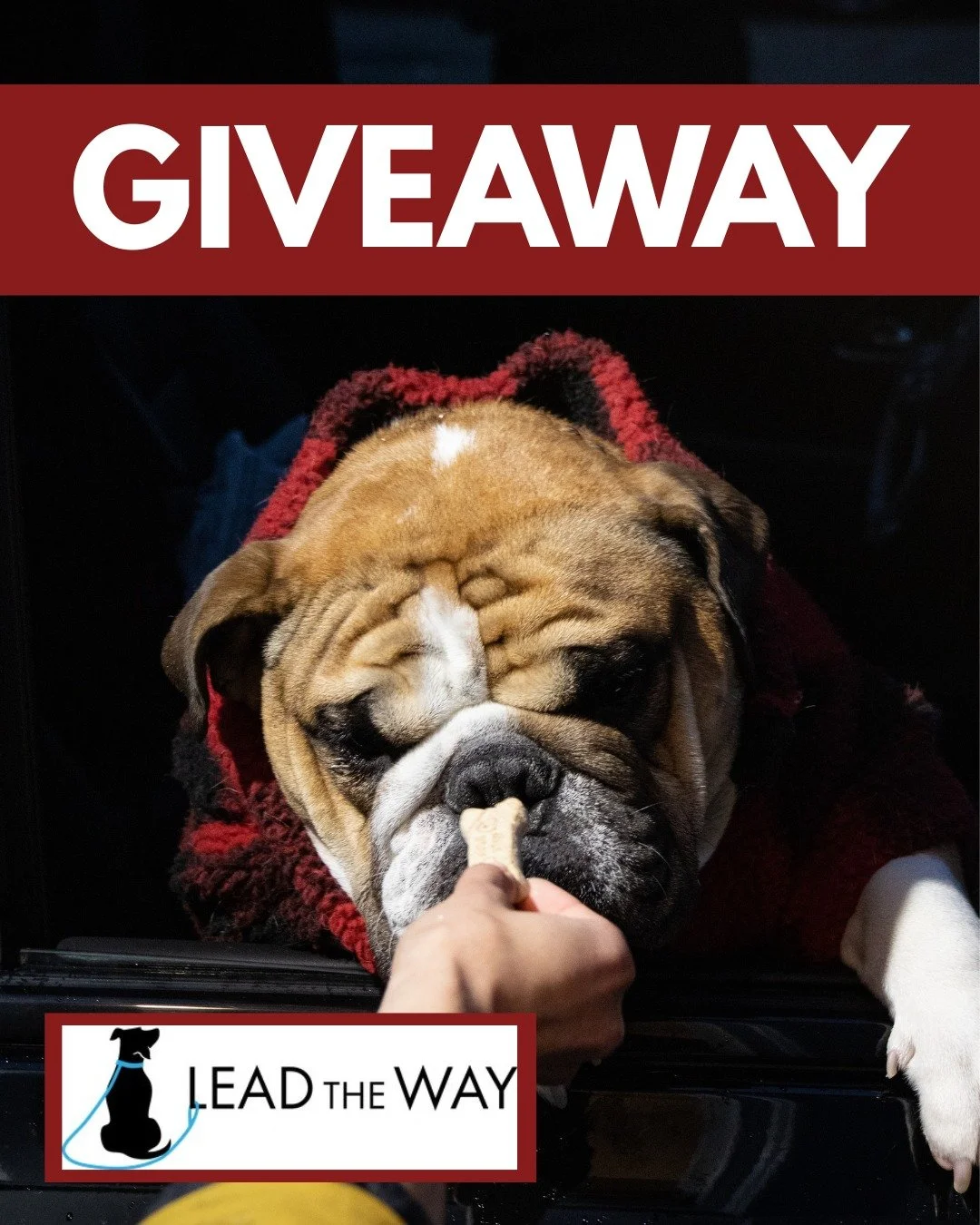 Calling all Dog lovers, we have something special just FUR you! We have partnered with @leadthewayk9trainingohio  to bring you another GIVEAWAY! Lead the Way is giving away 5 nights of boarding and one BarkBox full of toys, valued at $250, to ONE luc