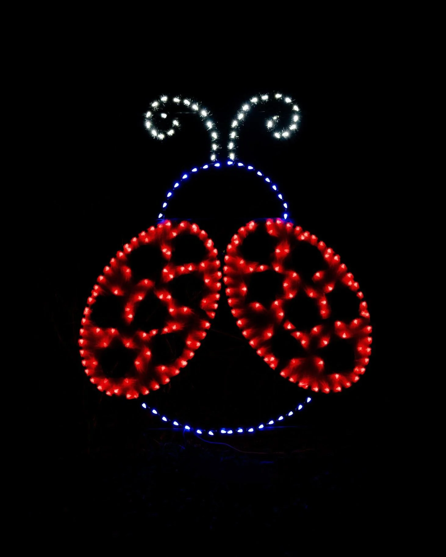 In honor of a dear friend we lost this year, this week, we will be posting only her incredible work. Please enjoy @kaylamedekphotography's talents as we remember all the light she brought to us every day.🙏🏻&hearts;️🐞 

✨Show Open Nightly at 5:30 p