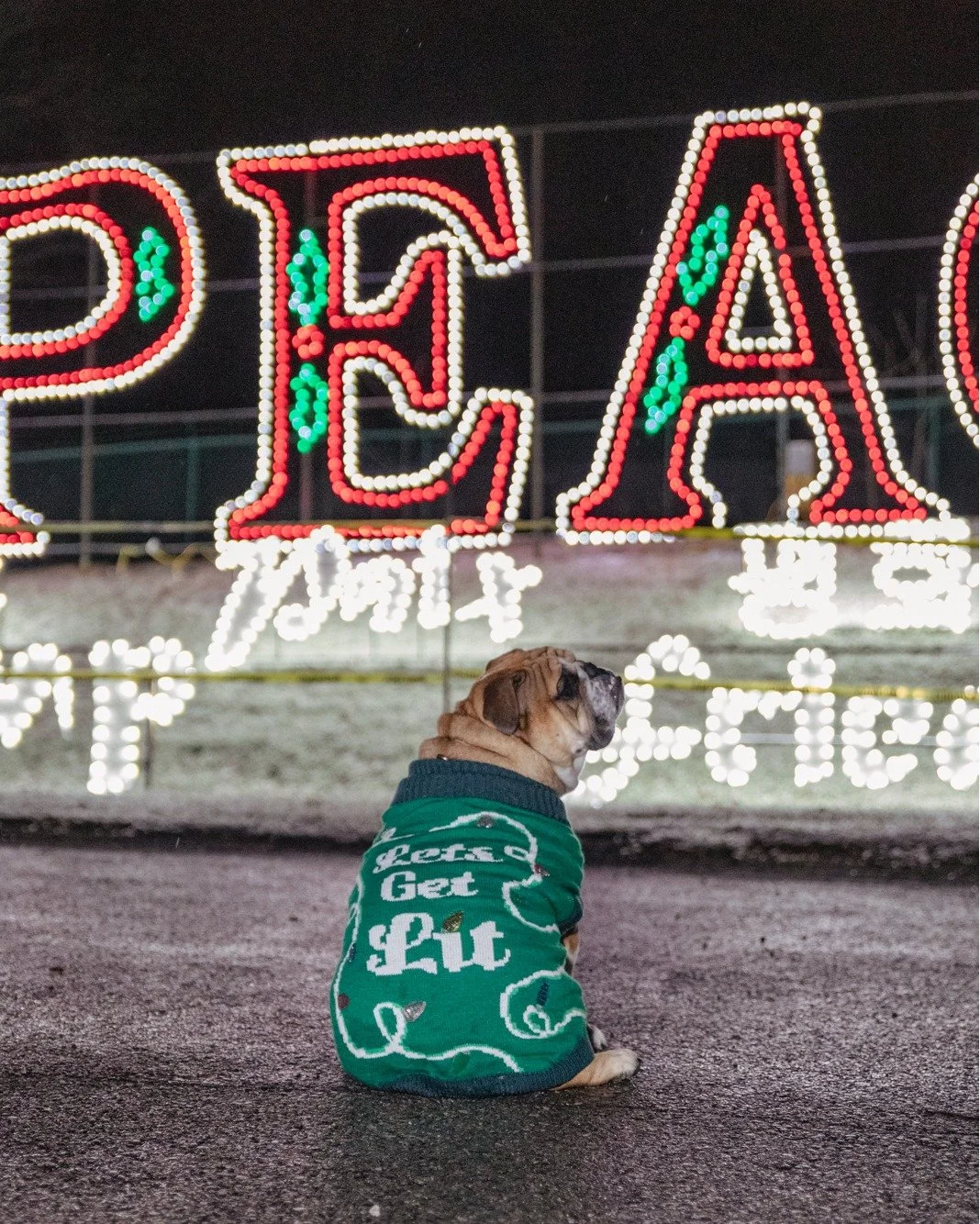 It's ugly sweater season at our show, and we want to see your cutest ugly Christmas sweaters! In honor of Ugly Sweater Day, we will be giving a $5 DISCOUNT to anyone who shows us their sweater at the ticket booths! Come show off those holiday sweater