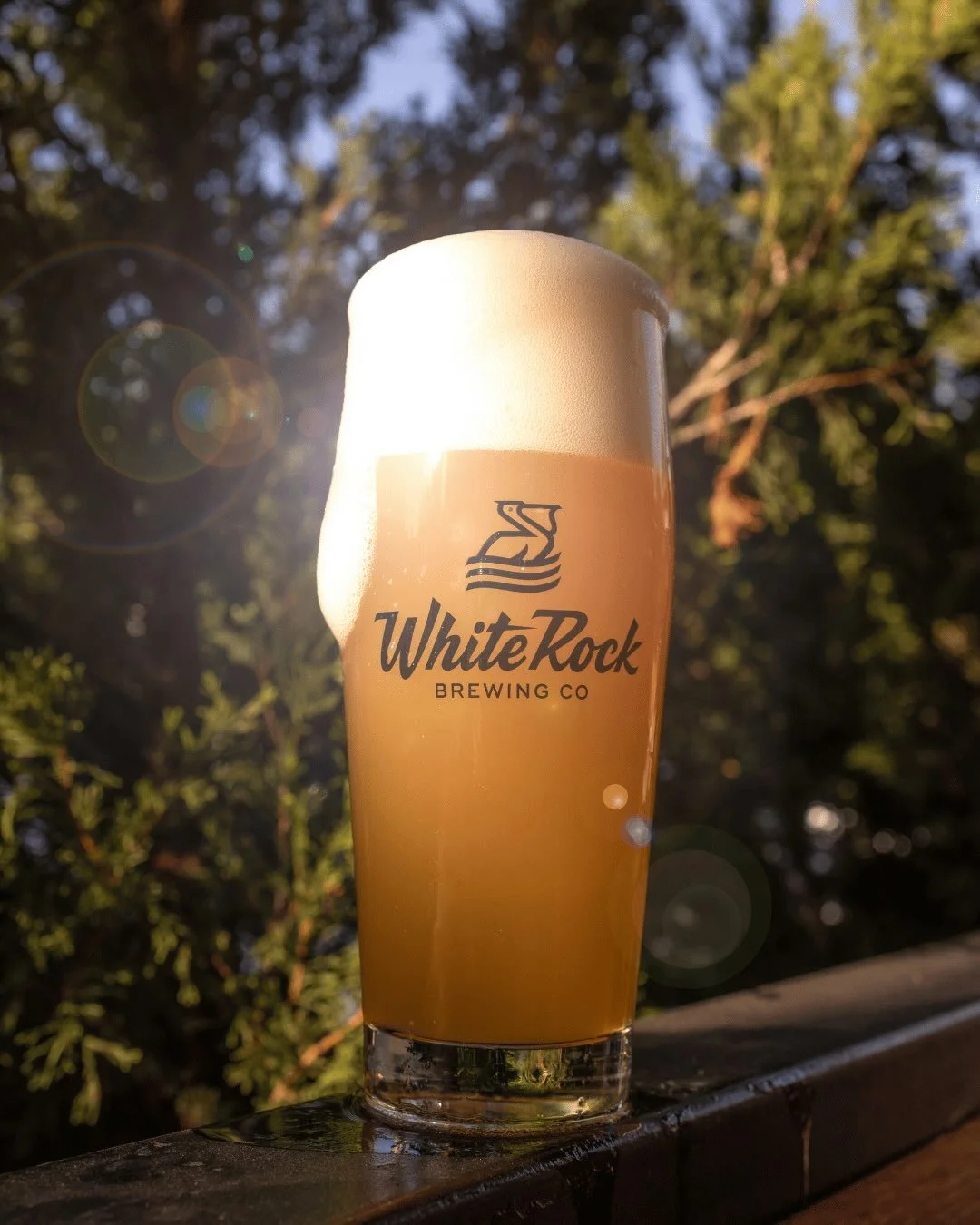This new hazy will have you seeing sunspots! Sunspot is our newest 6.5% Hazy India Pale Ale, brewed with Chinook and Simcoe hops for a bright mango, ripe raspberry, and subtle blueberry note to truly help beat the heat. Now available on draft only! ?