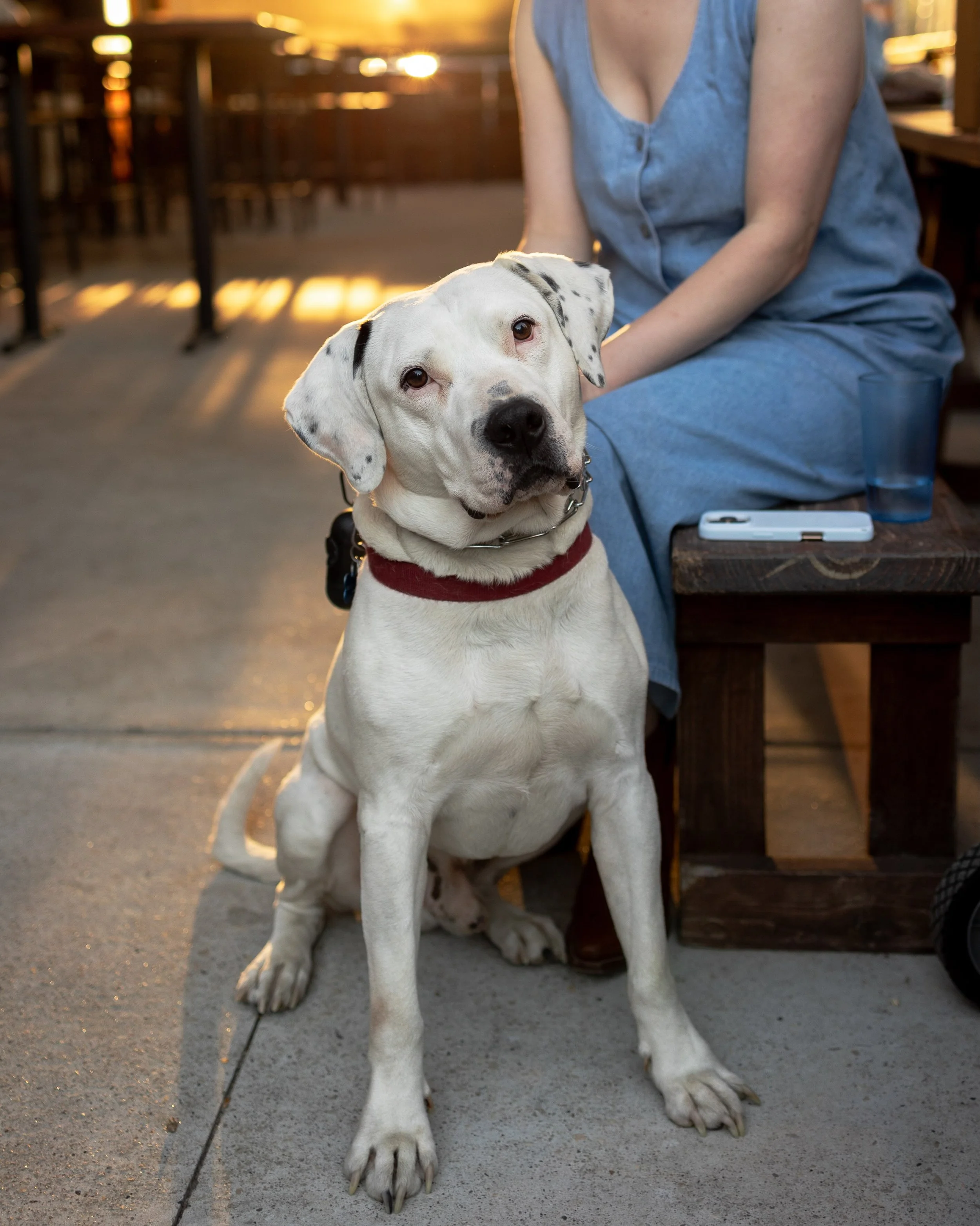 Dog friendly, big screens, and live music. The Beer Garden is our favorite spot to be. Live music starts at 6pm tonight with @abillylaw 🍻