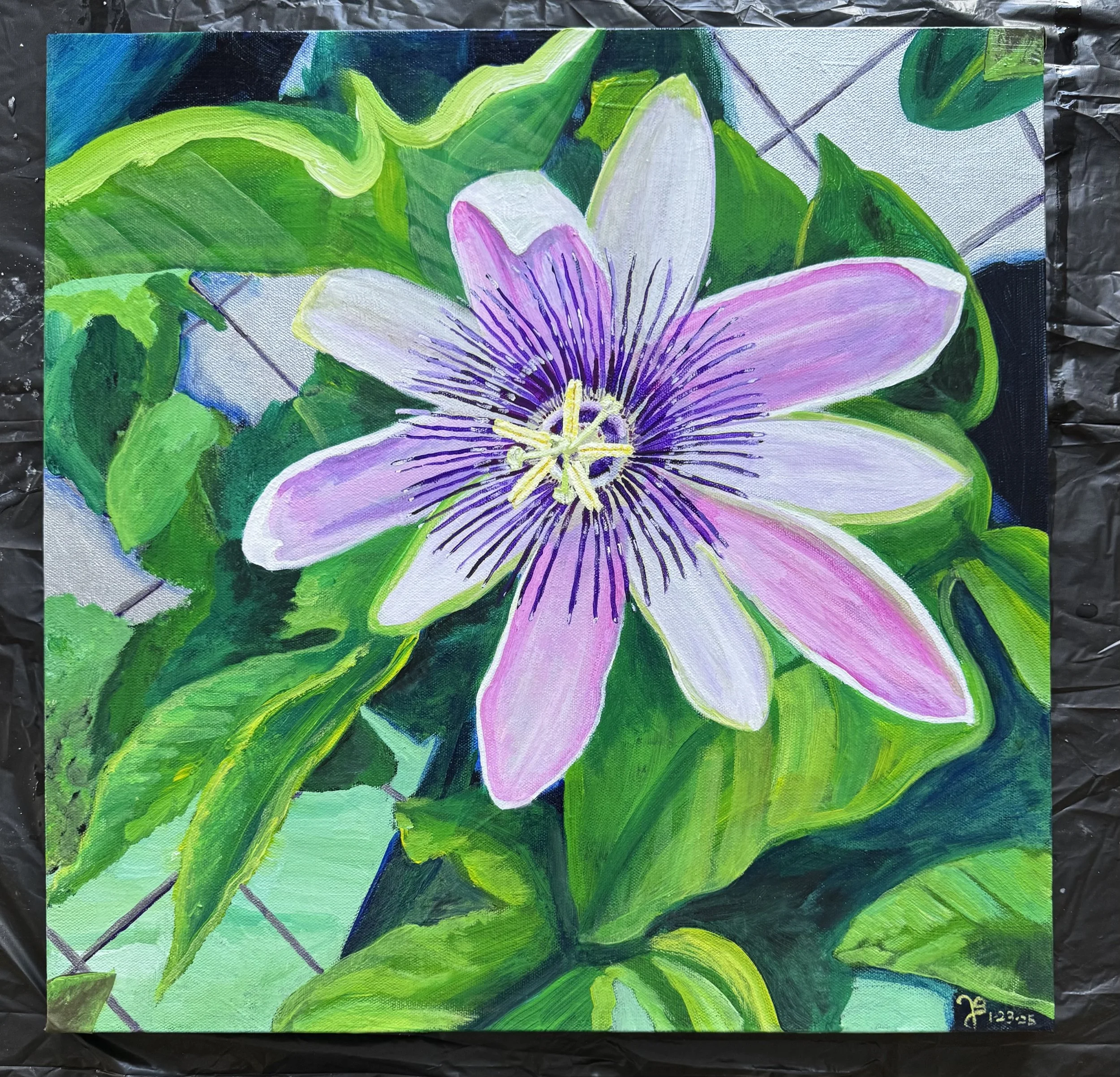 Passion Flower, Acrylic on canvas, Jan 2025