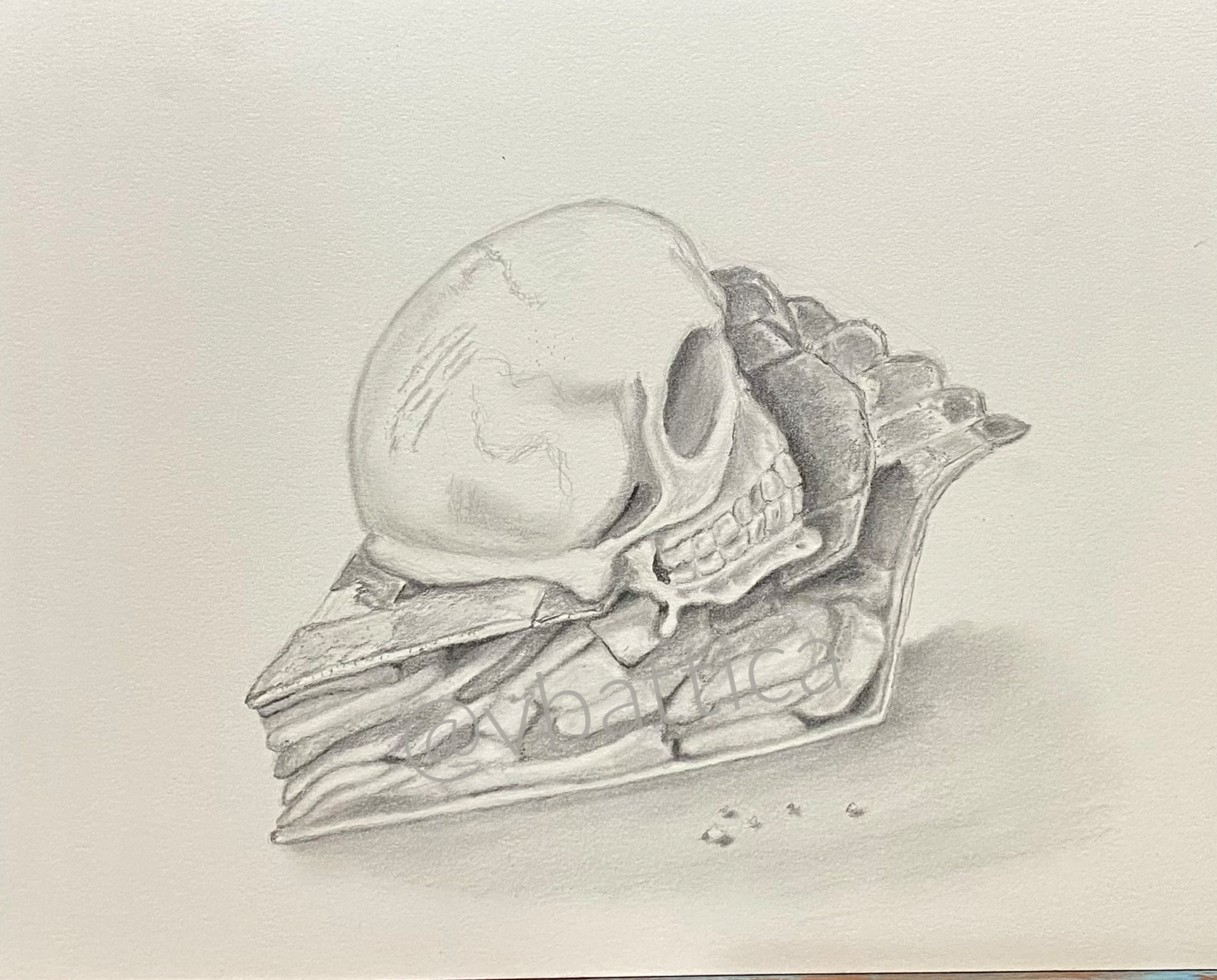 Pie a la Skull, Graphite on paper, Oct 2023
