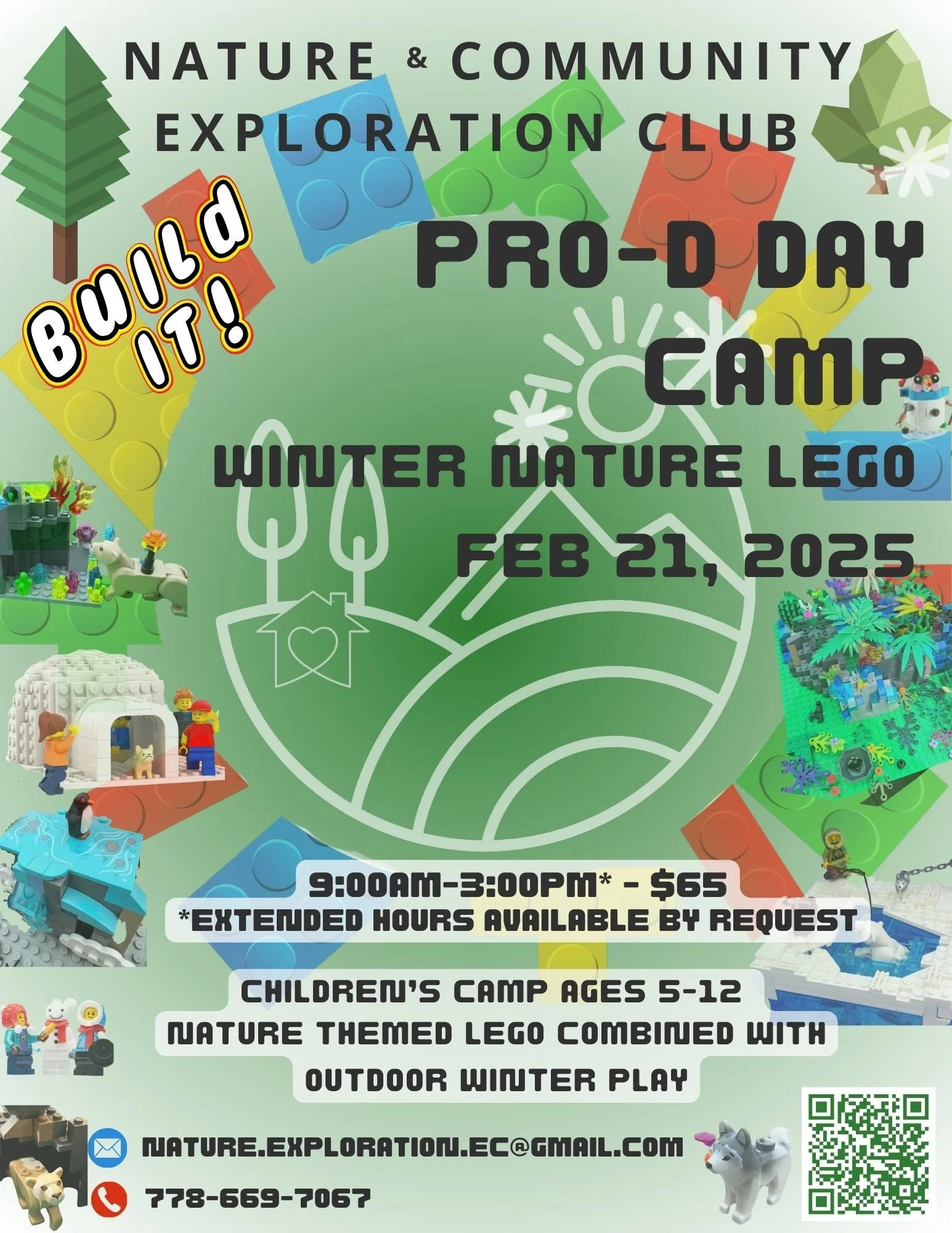 Lego Pro-D Feb 2025.jpg