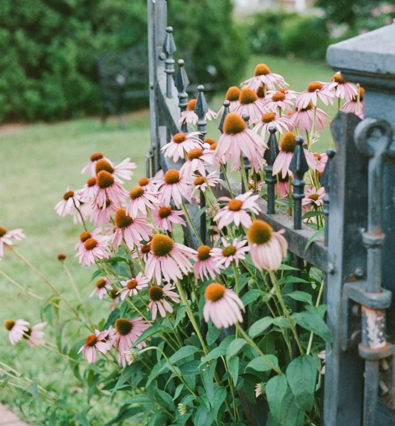 Last weekend marked the end of the summer&hellip; not sure anyone thinks of the first two thirds of September as summer but to me, this part of summer is really special&hellip; it comes wrapped with so much softness and melancholy, echoing the laught