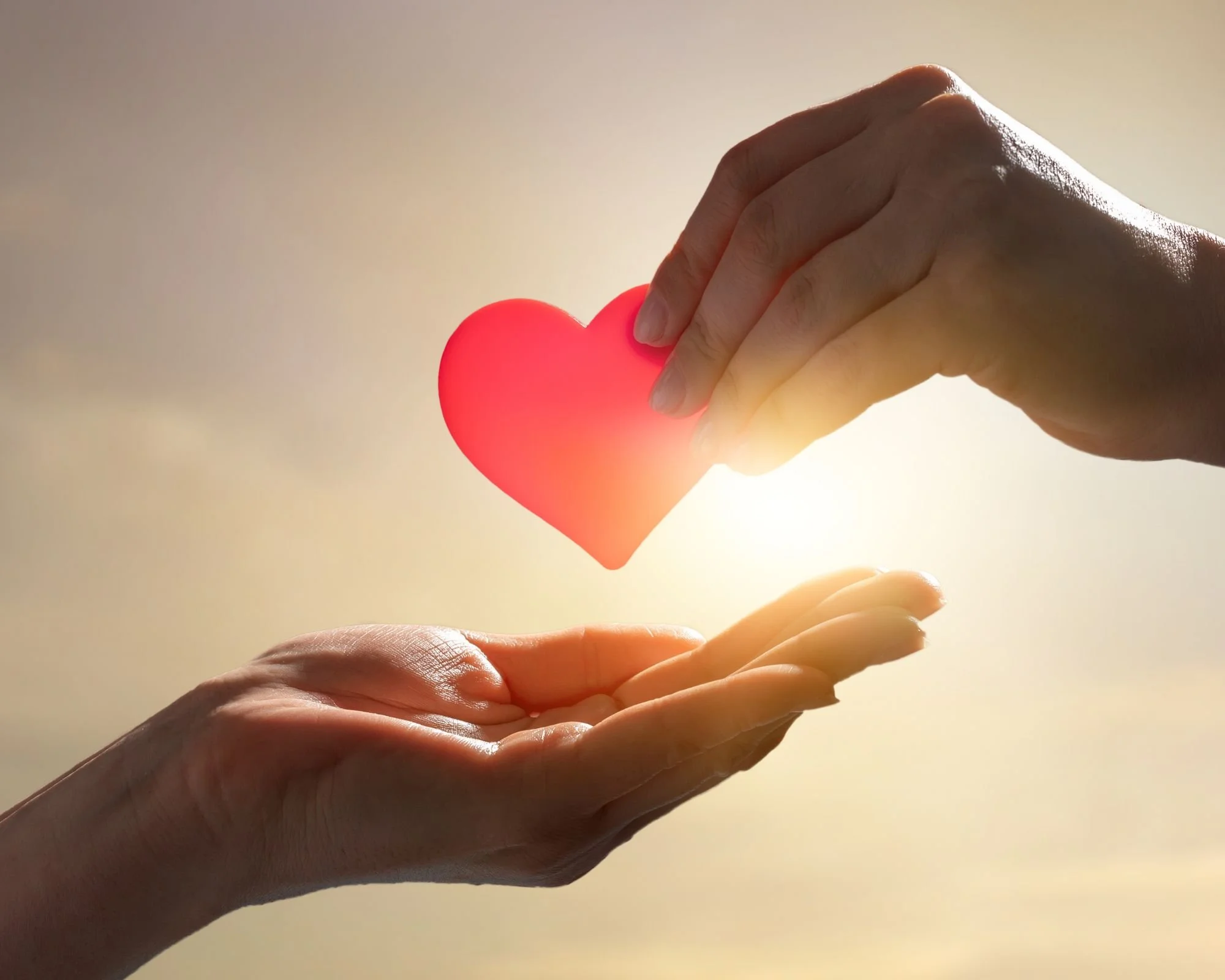 4 Ways to Receive a Tax Deduction for Charitable Contributions in 2025 and 2026