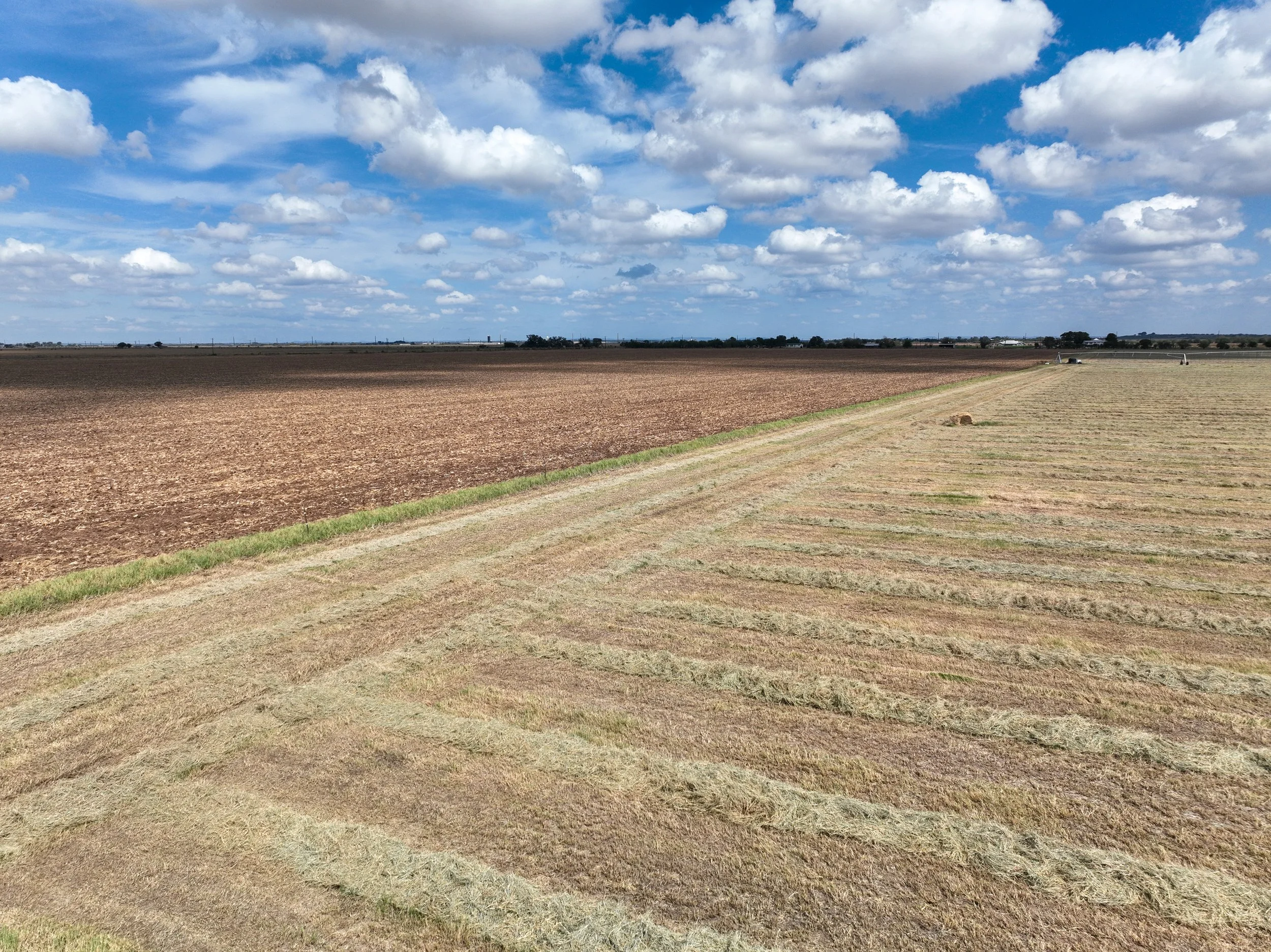 DJI_0975.jpg