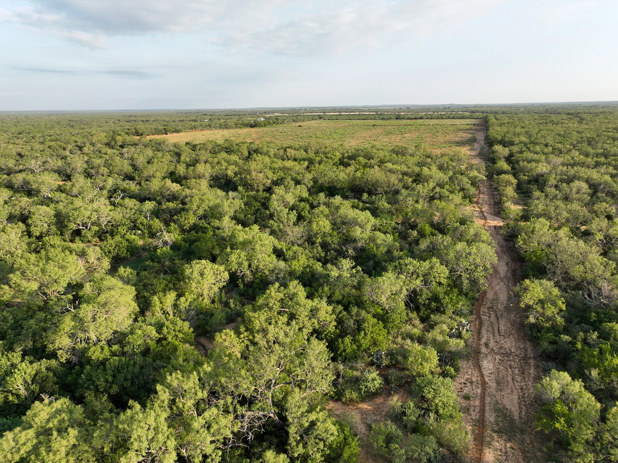 DJI_0861.jpg