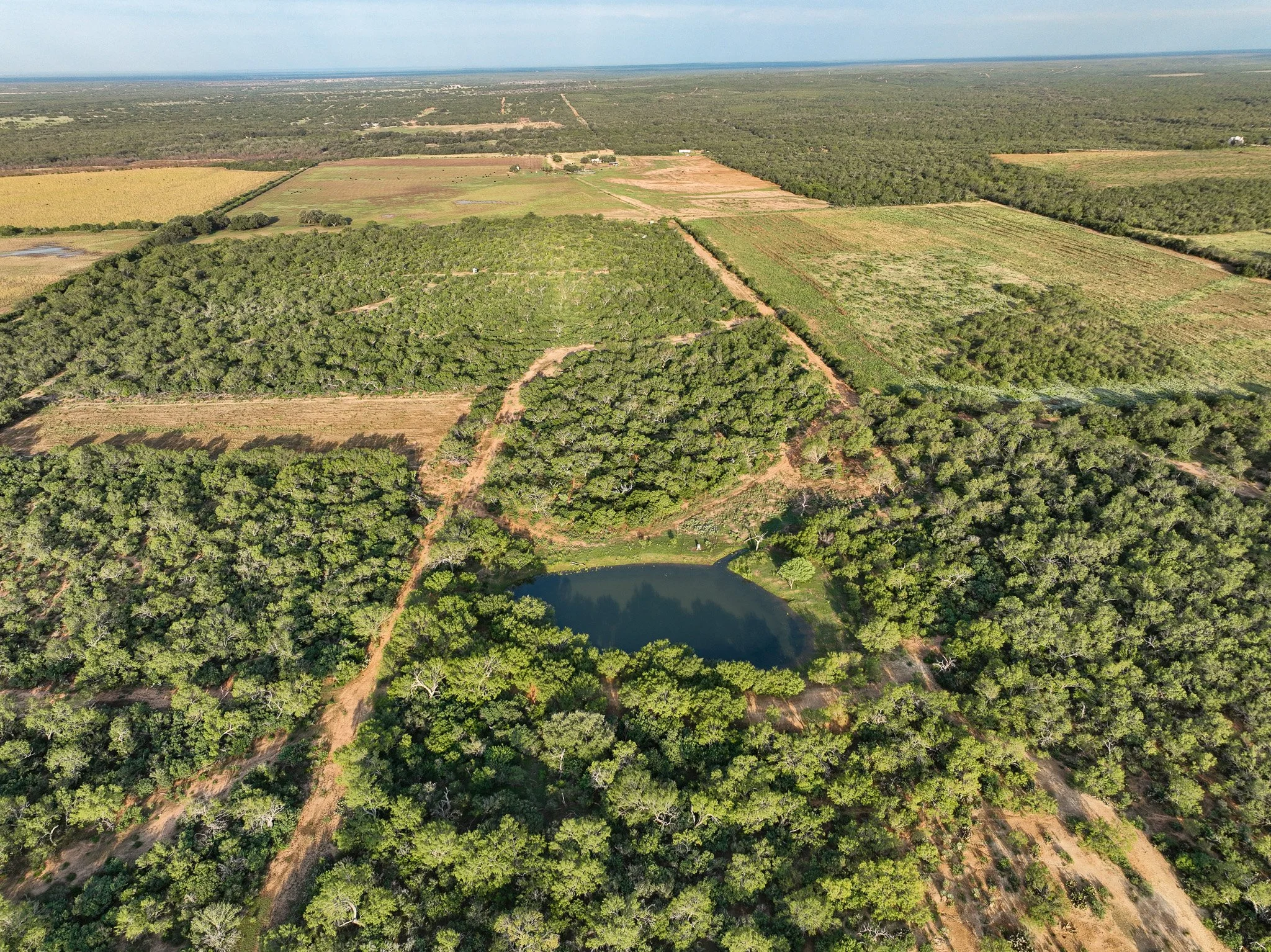 DJI_0856.jpg