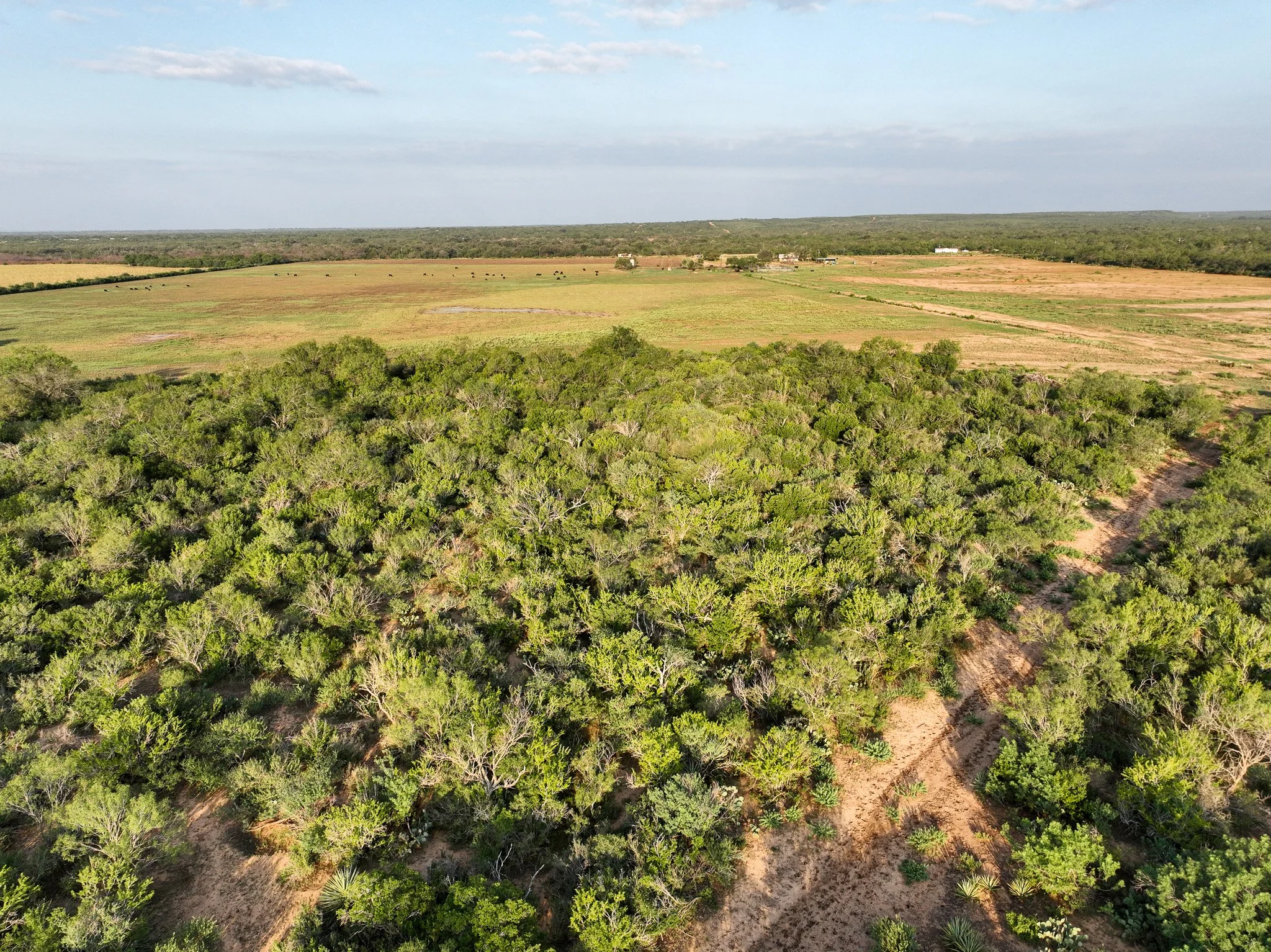 DJI_0860.jpg