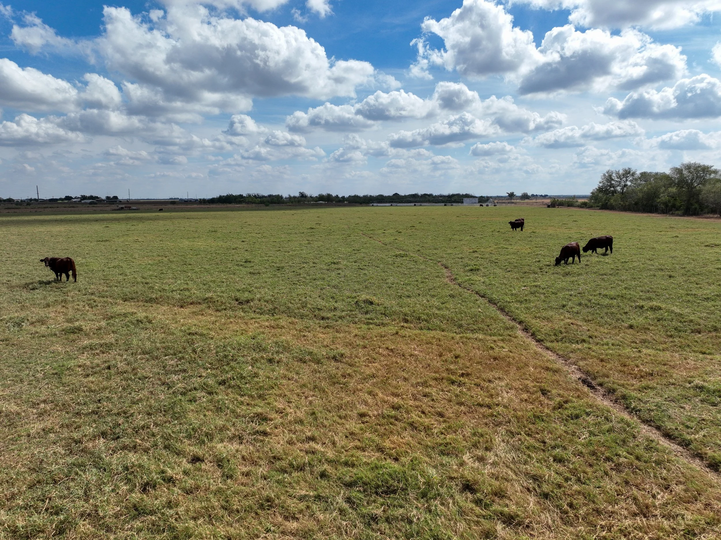 DJI_0974.jpg