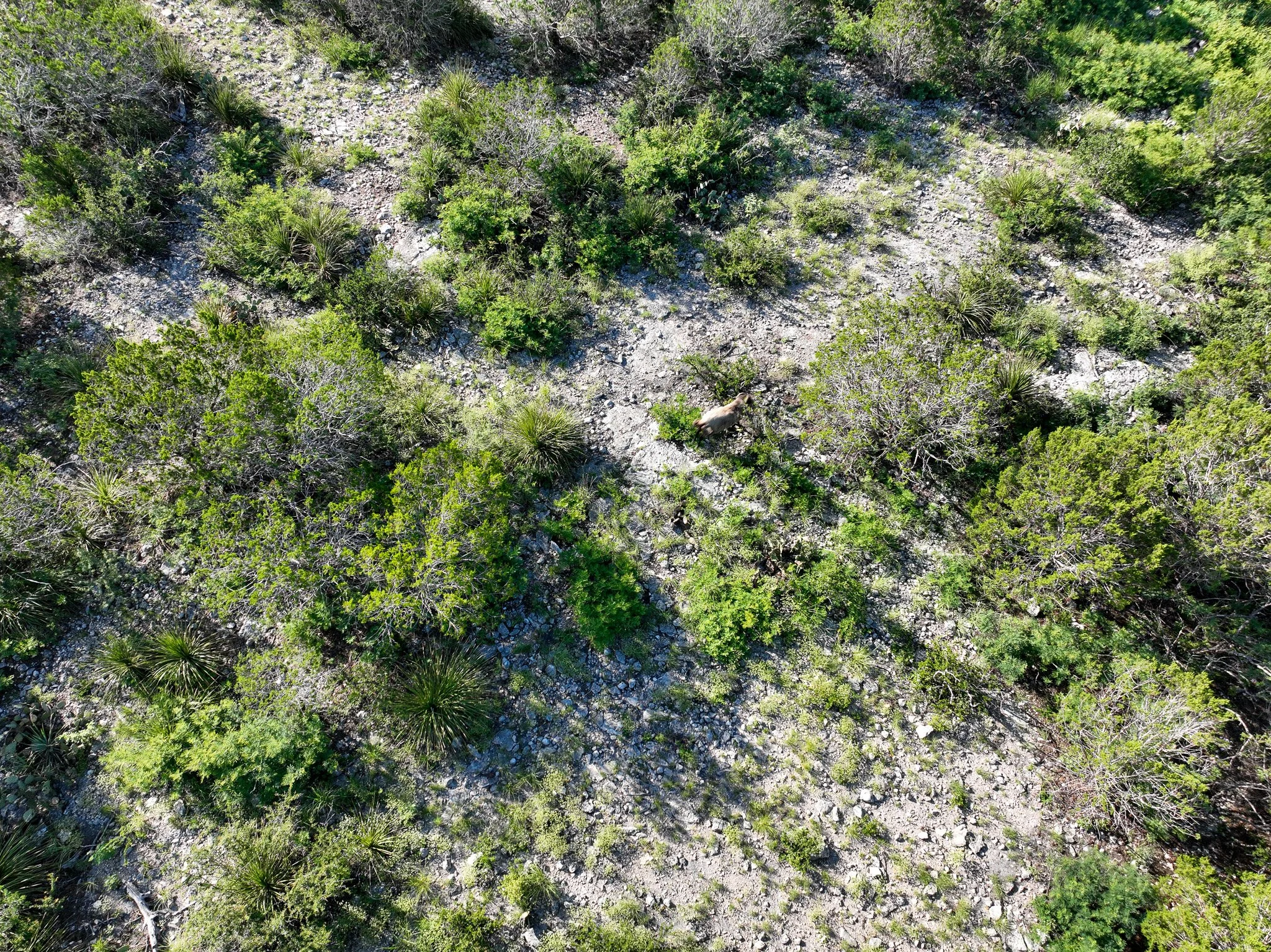 DJI_0828.jpg