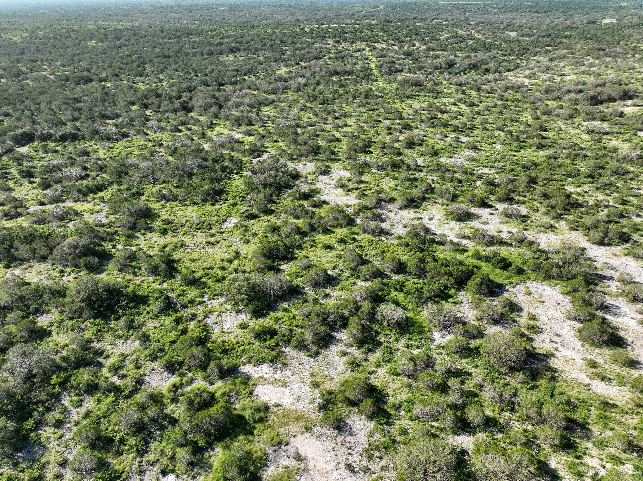 DJI_0836.jpg