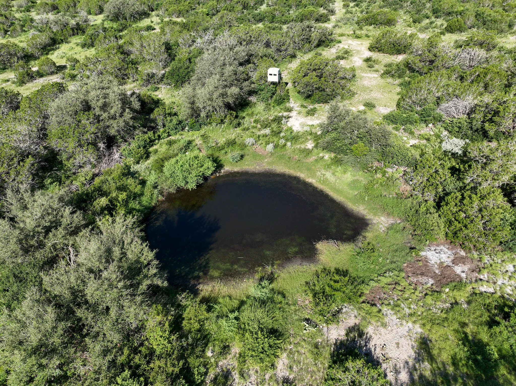 DJI_0837.jpg