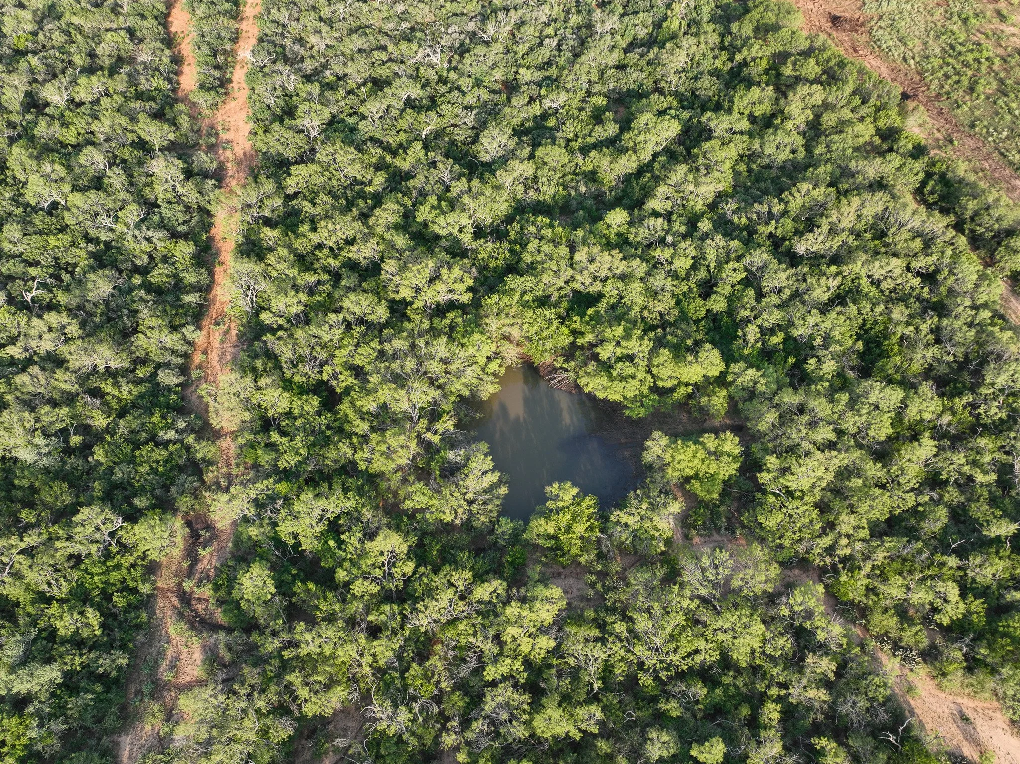 DJI_0862.jpg
