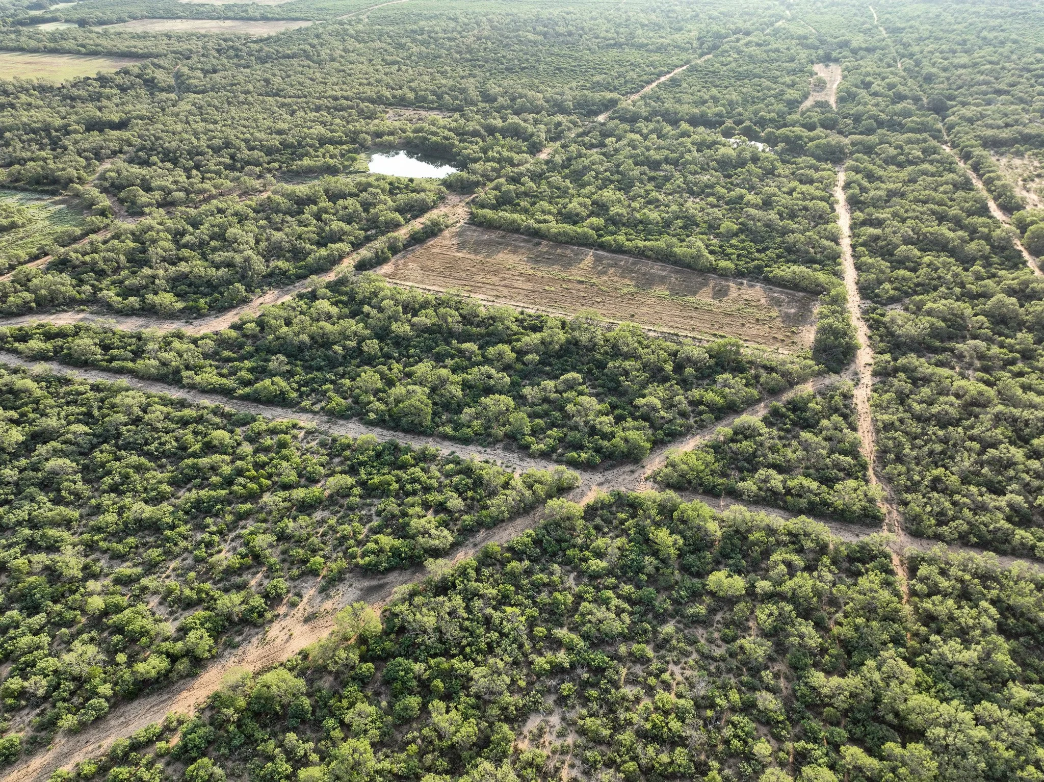 DJI_0854.jpg