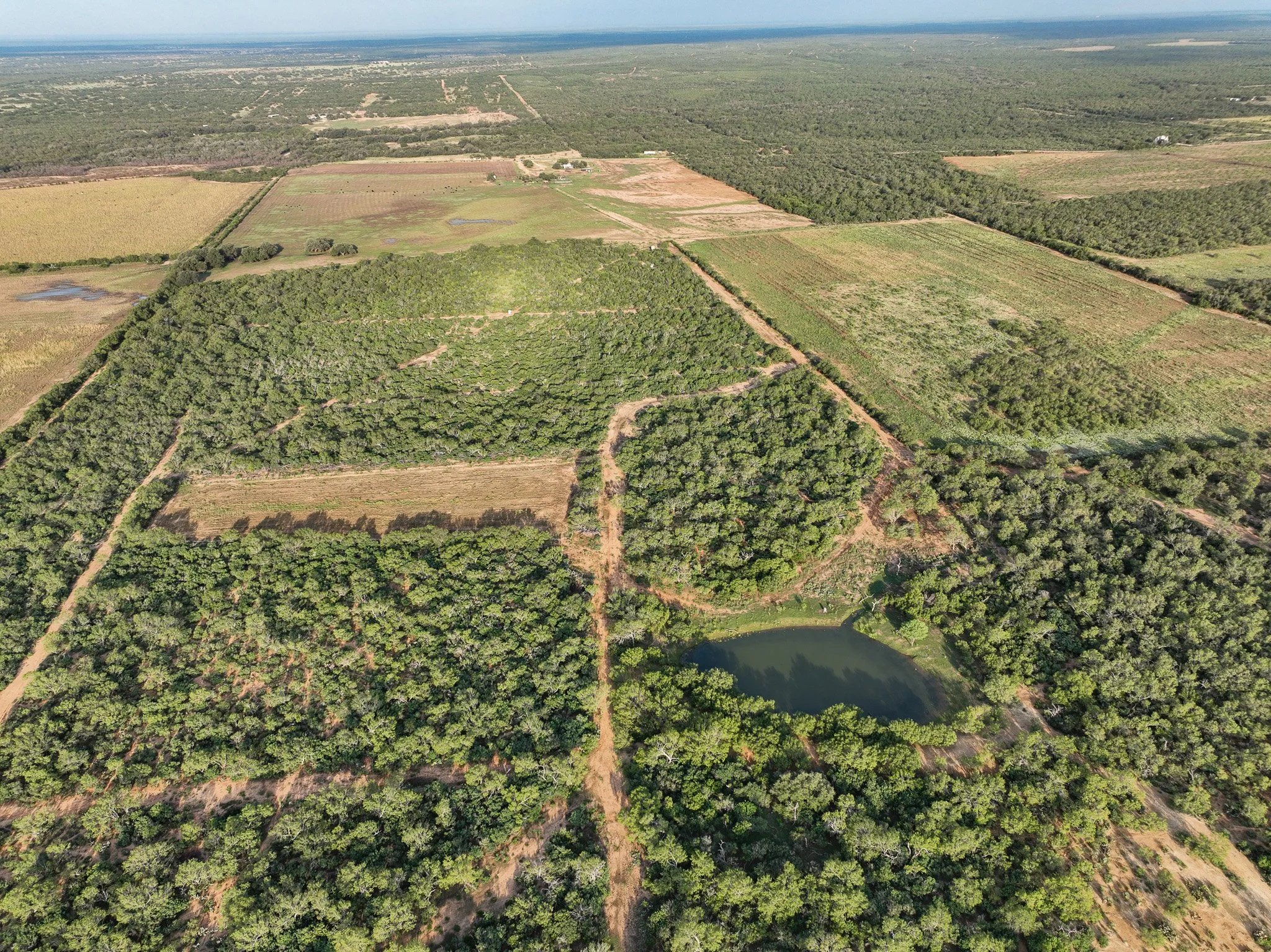 DJI_0869.jpg