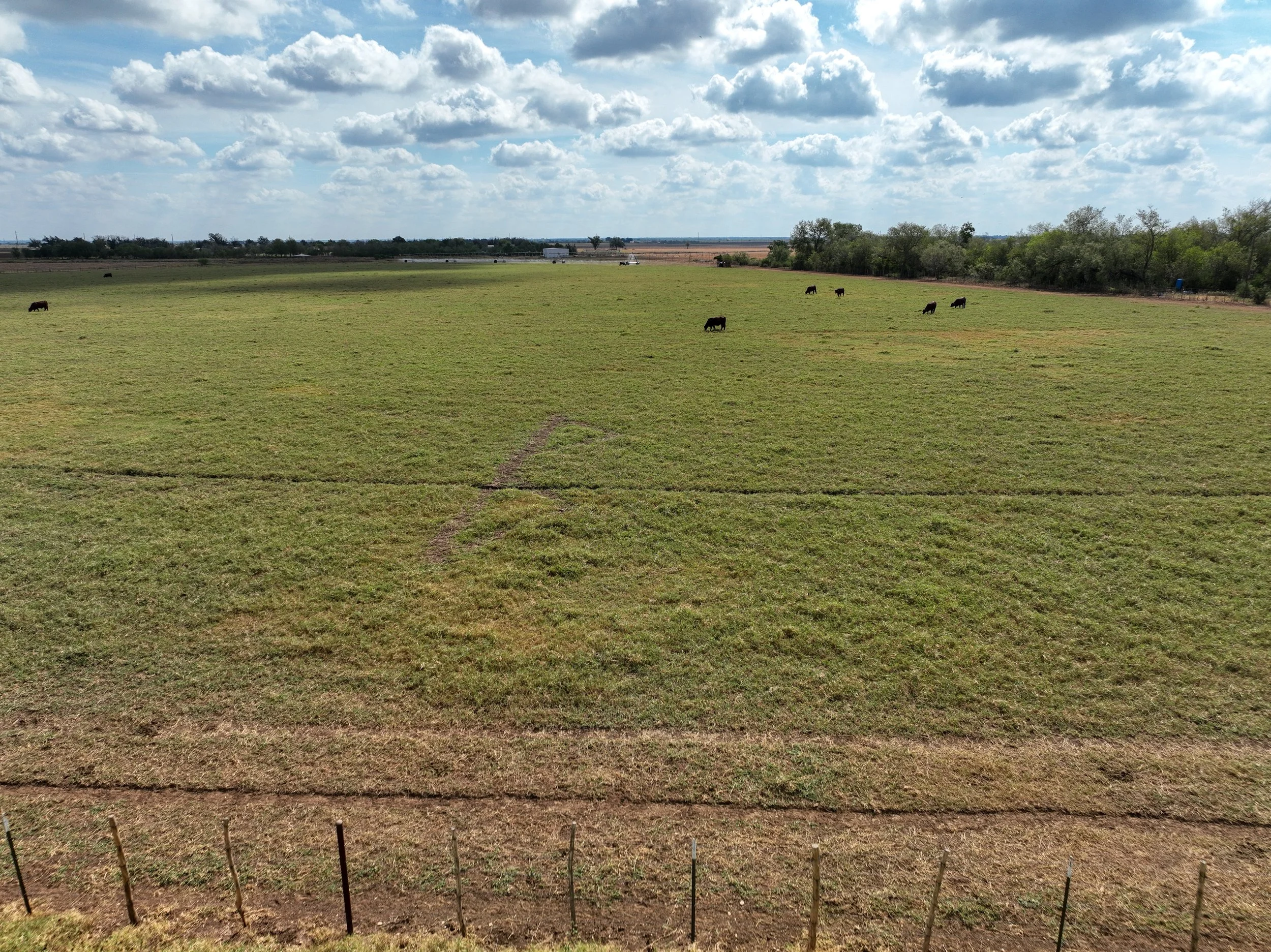 DJI_0973.jpg