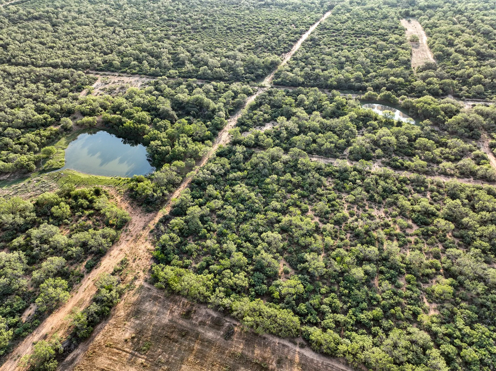 DJI_0855.jpg