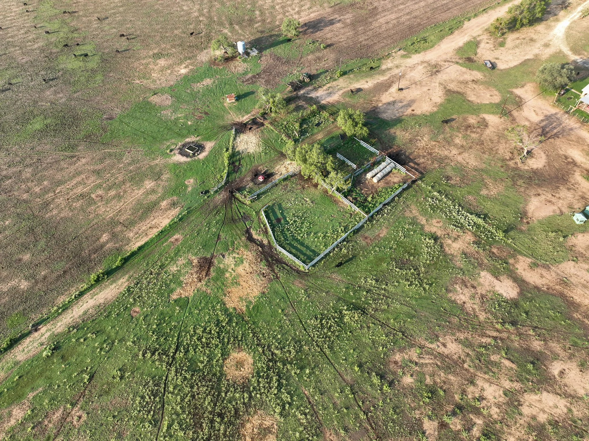 DJI_0863.jpg