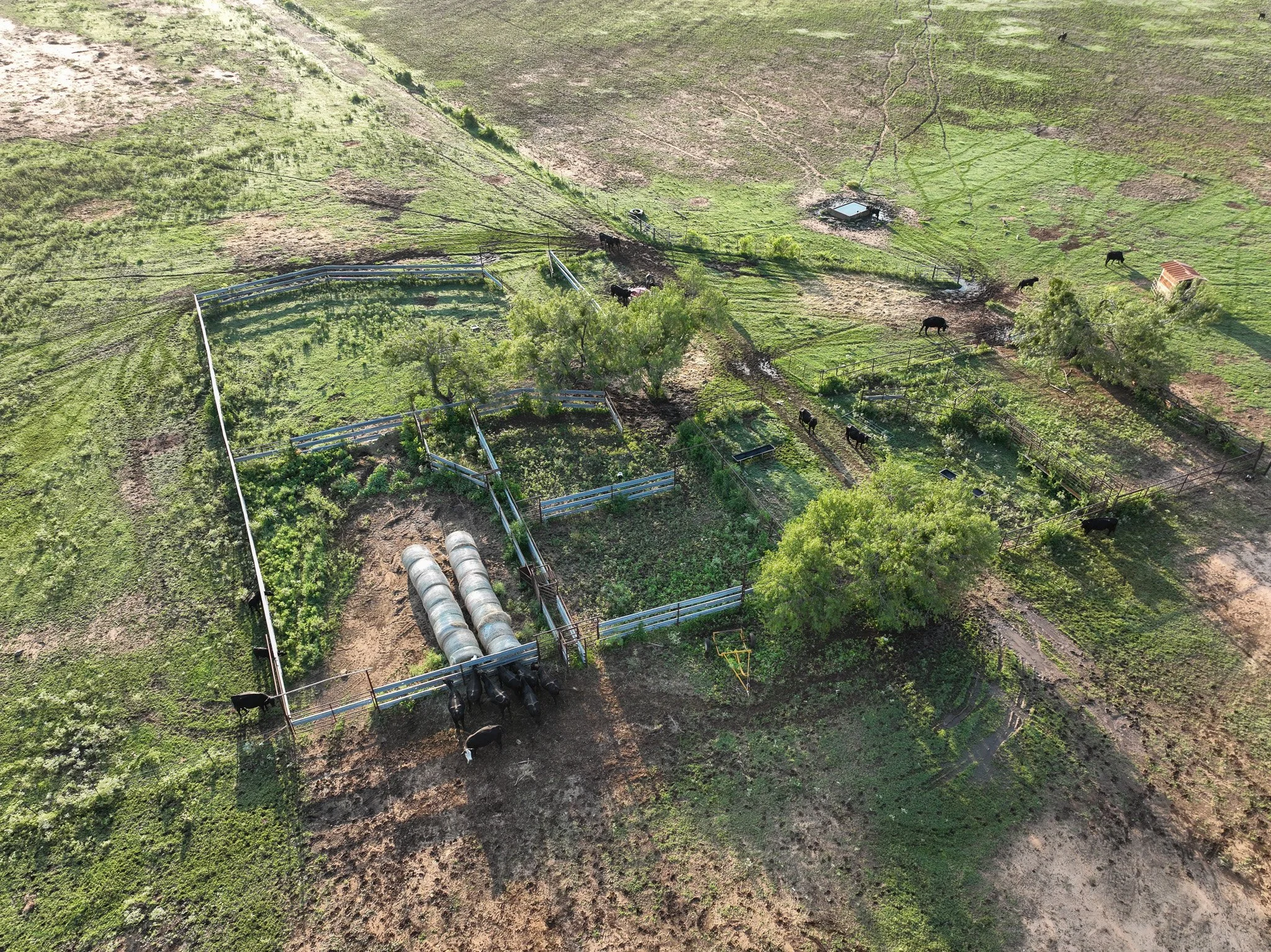 DJI_0851.jpg