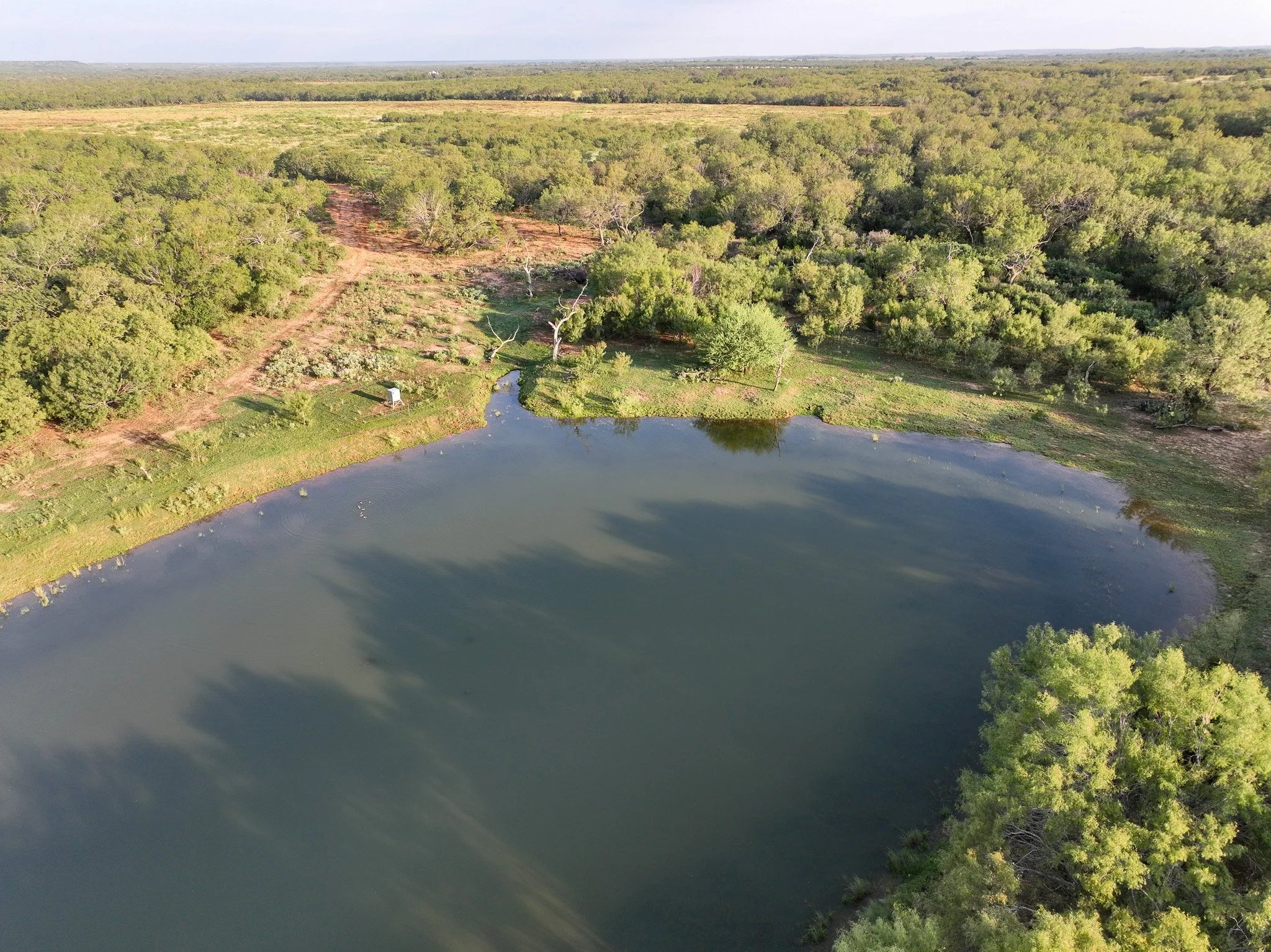 DJI_0858.jpg