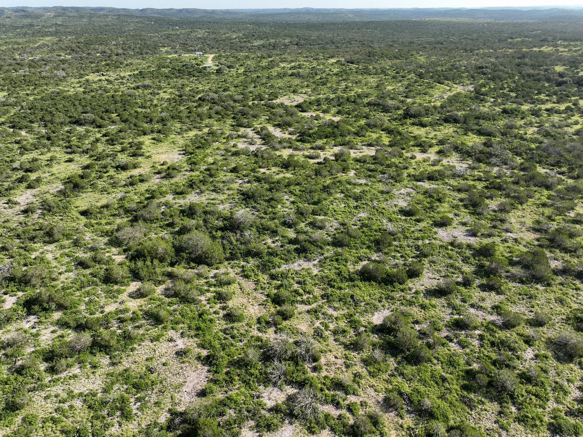 DJI_0834.jpg