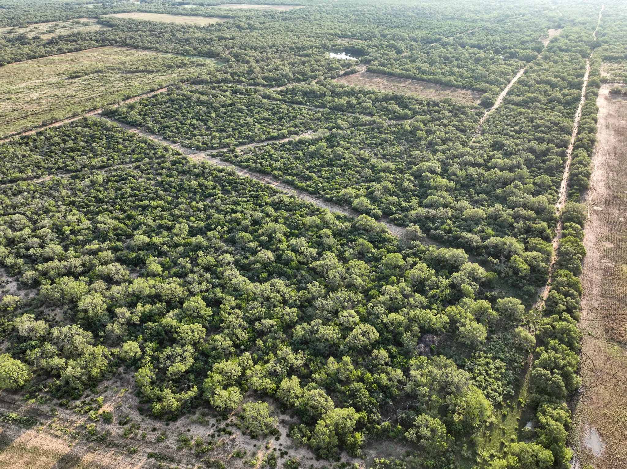 DJI_0853.jpg