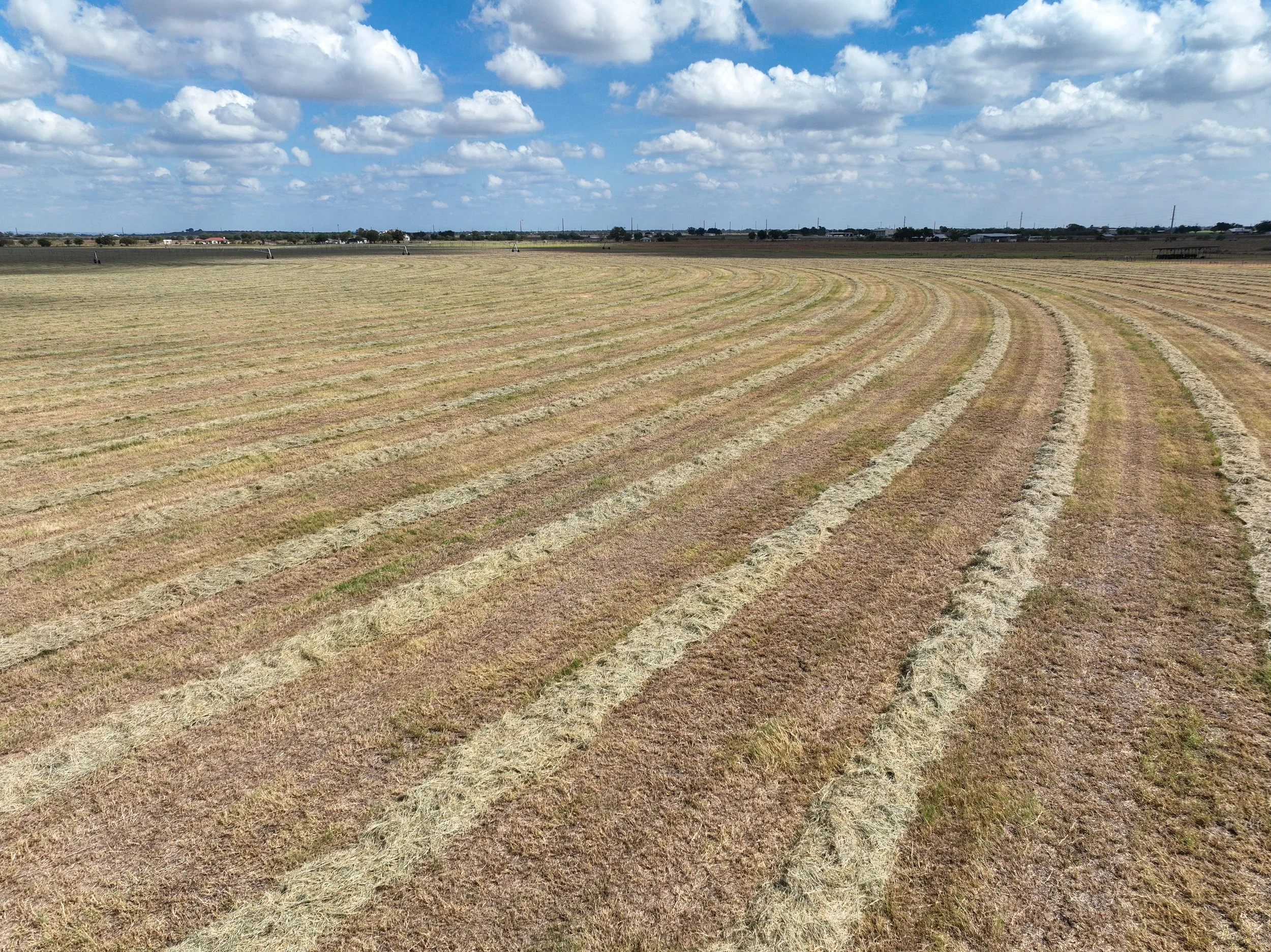 DJI_0971.jpg
