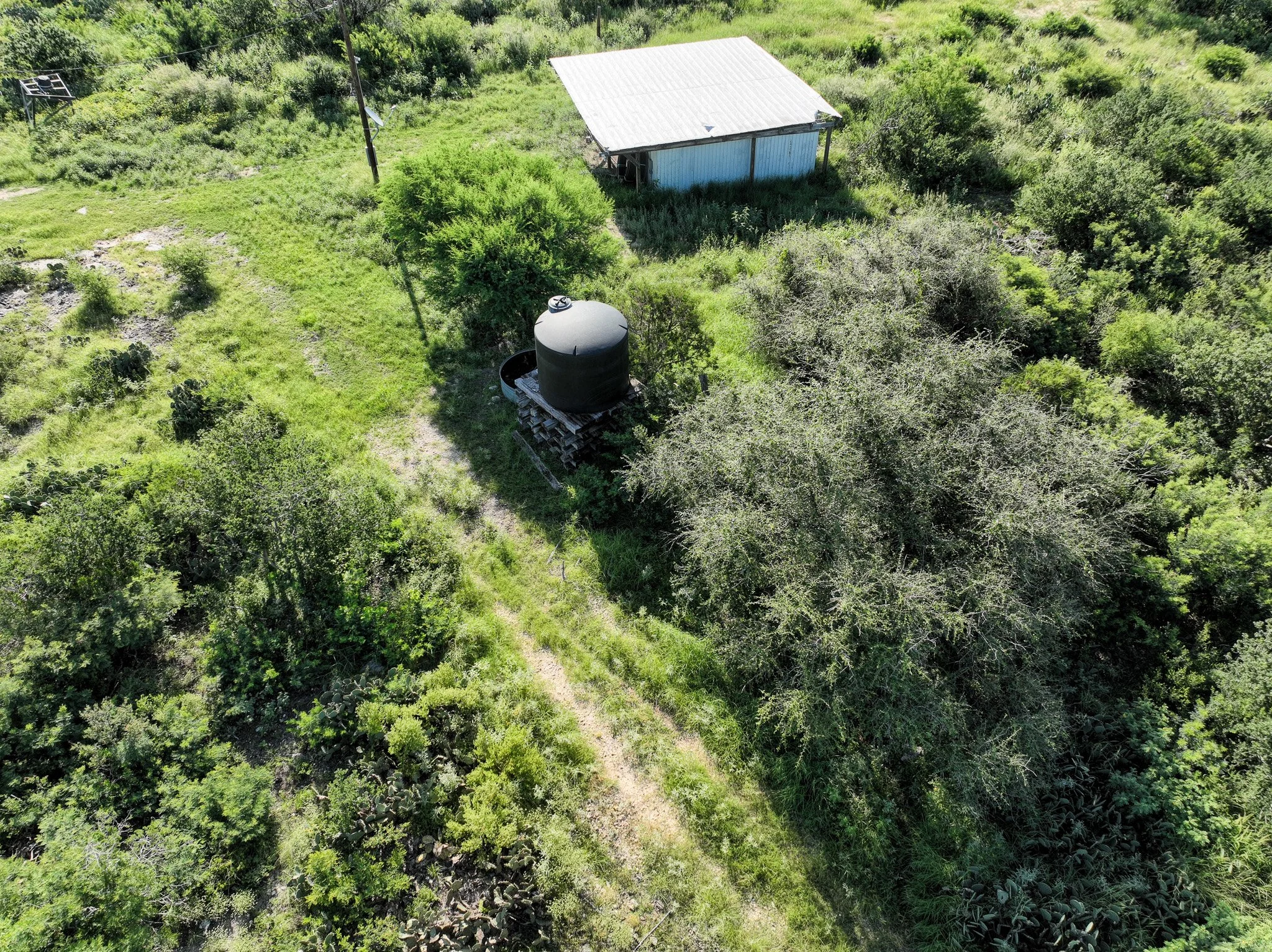 DJI_0833.jpg