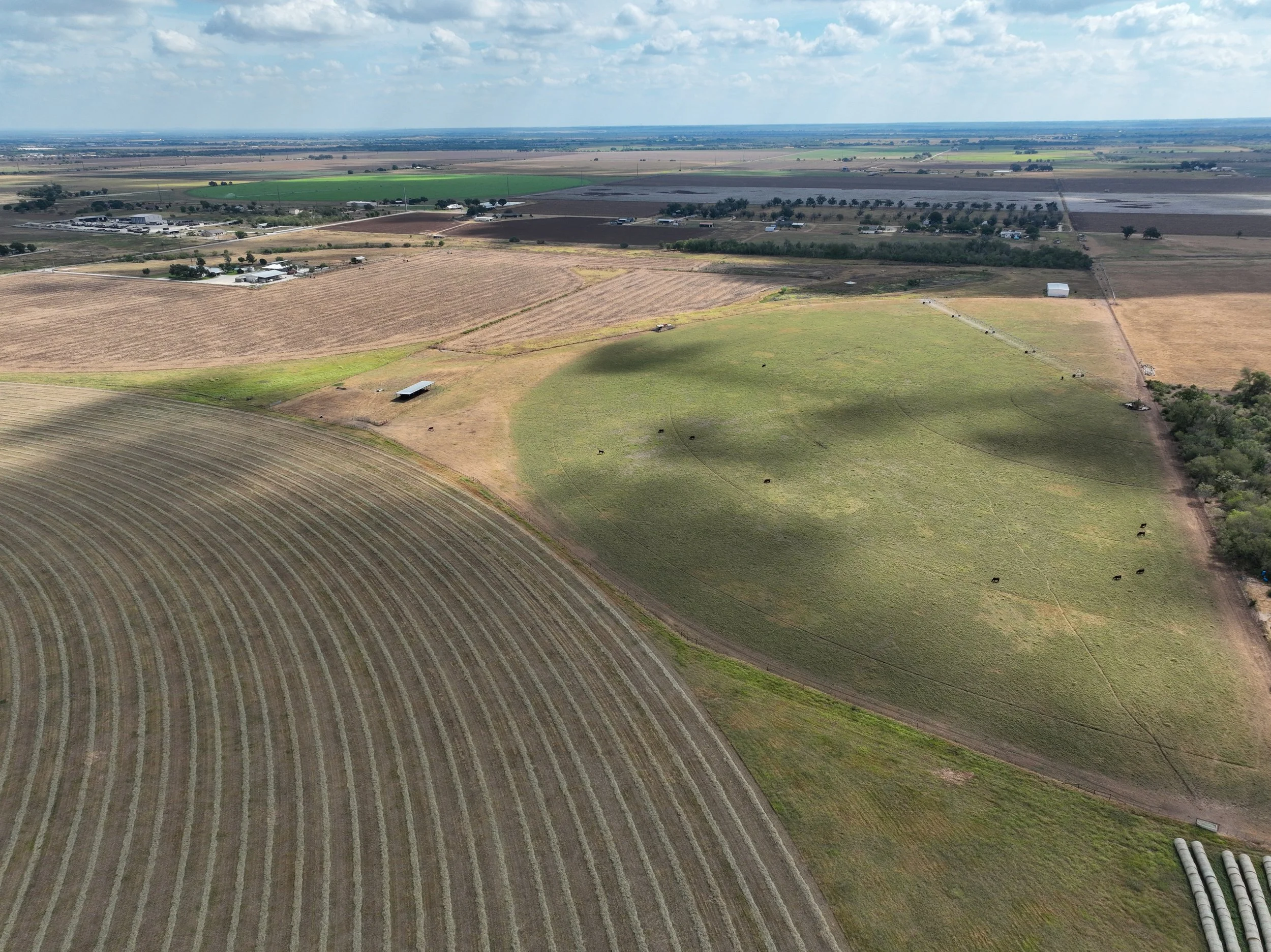 DJI_0966-2.jpg