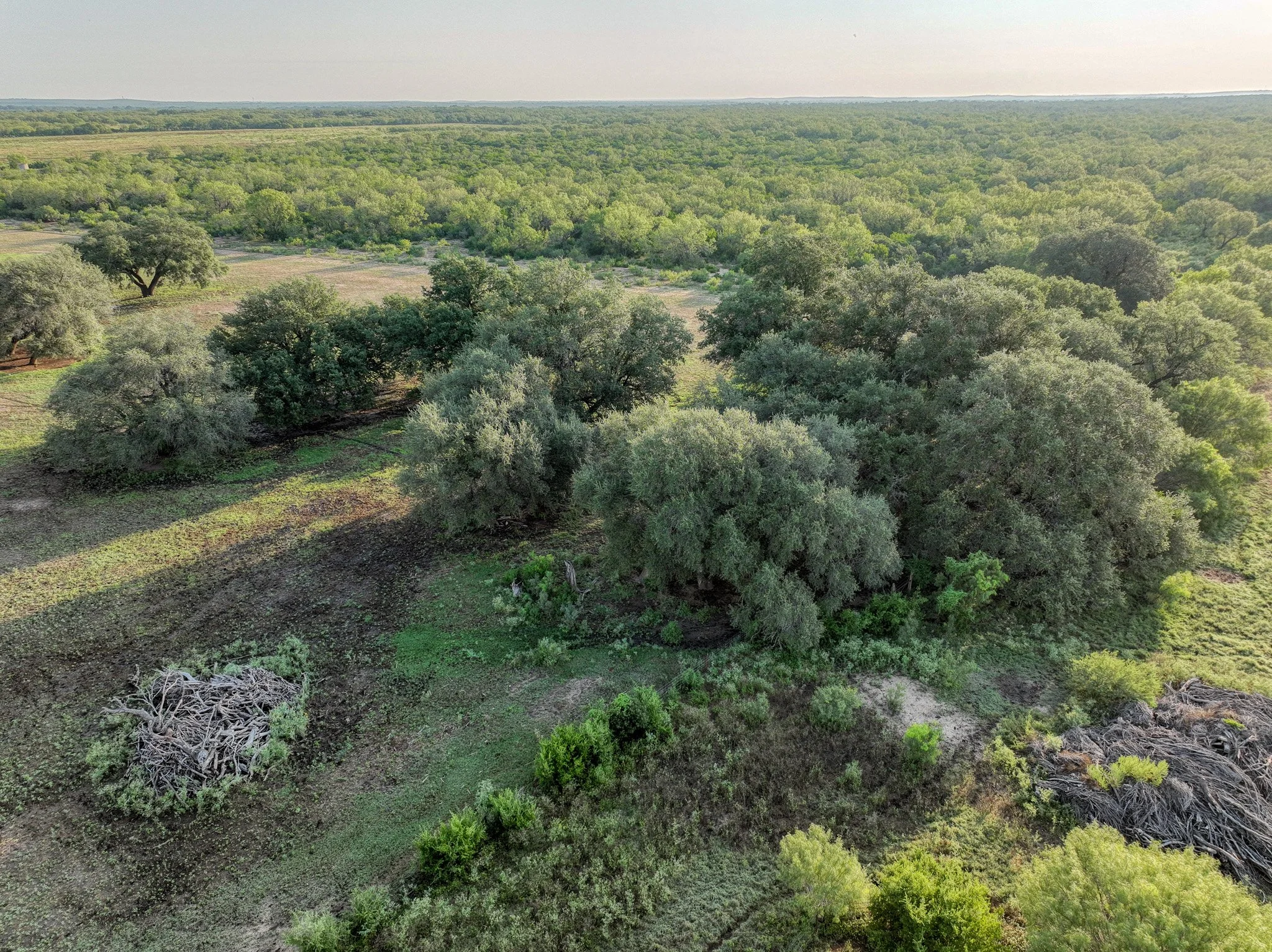 DJI_0852.jpg