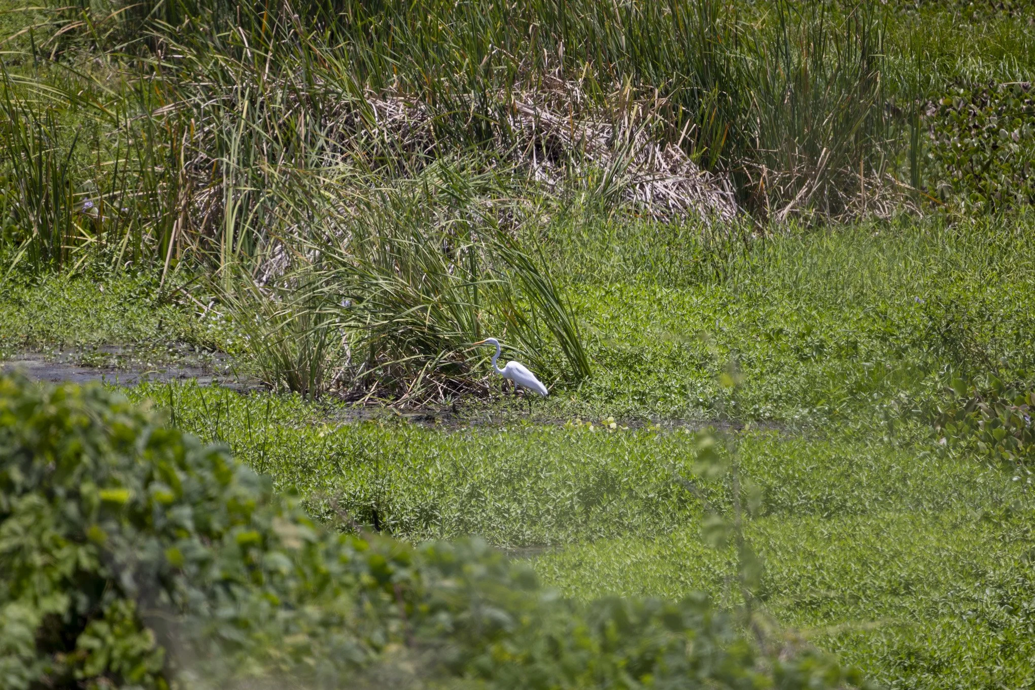 image1-6.jpg