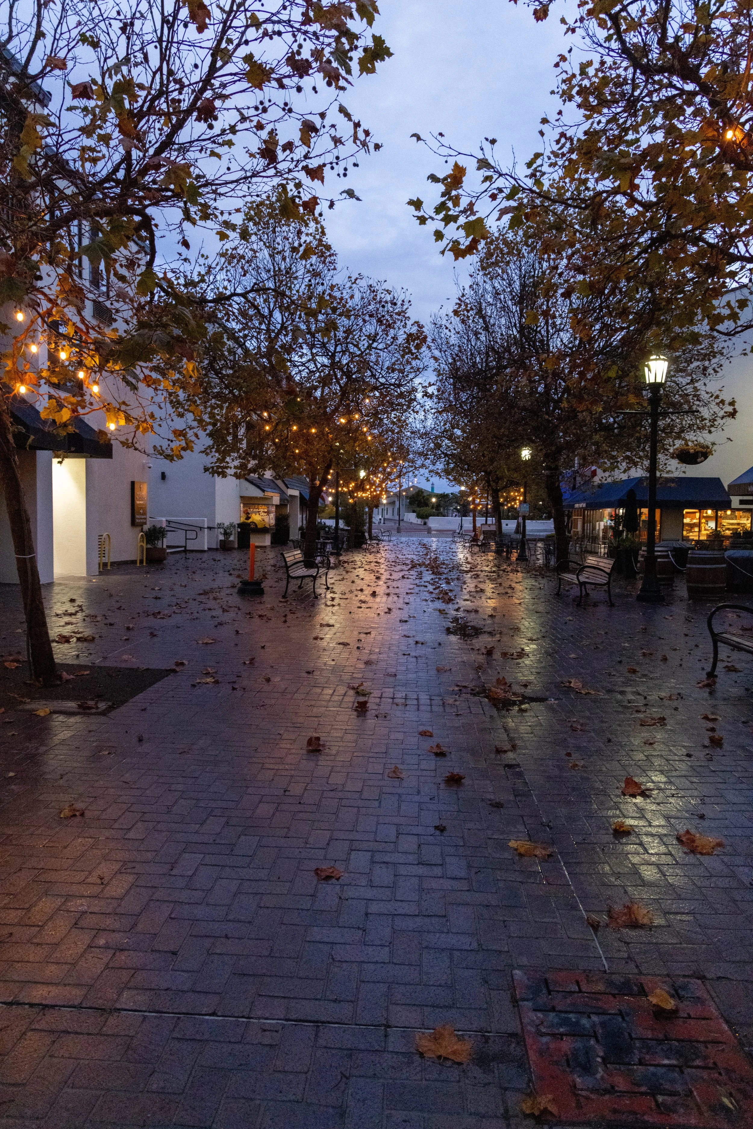 monterey.jpg