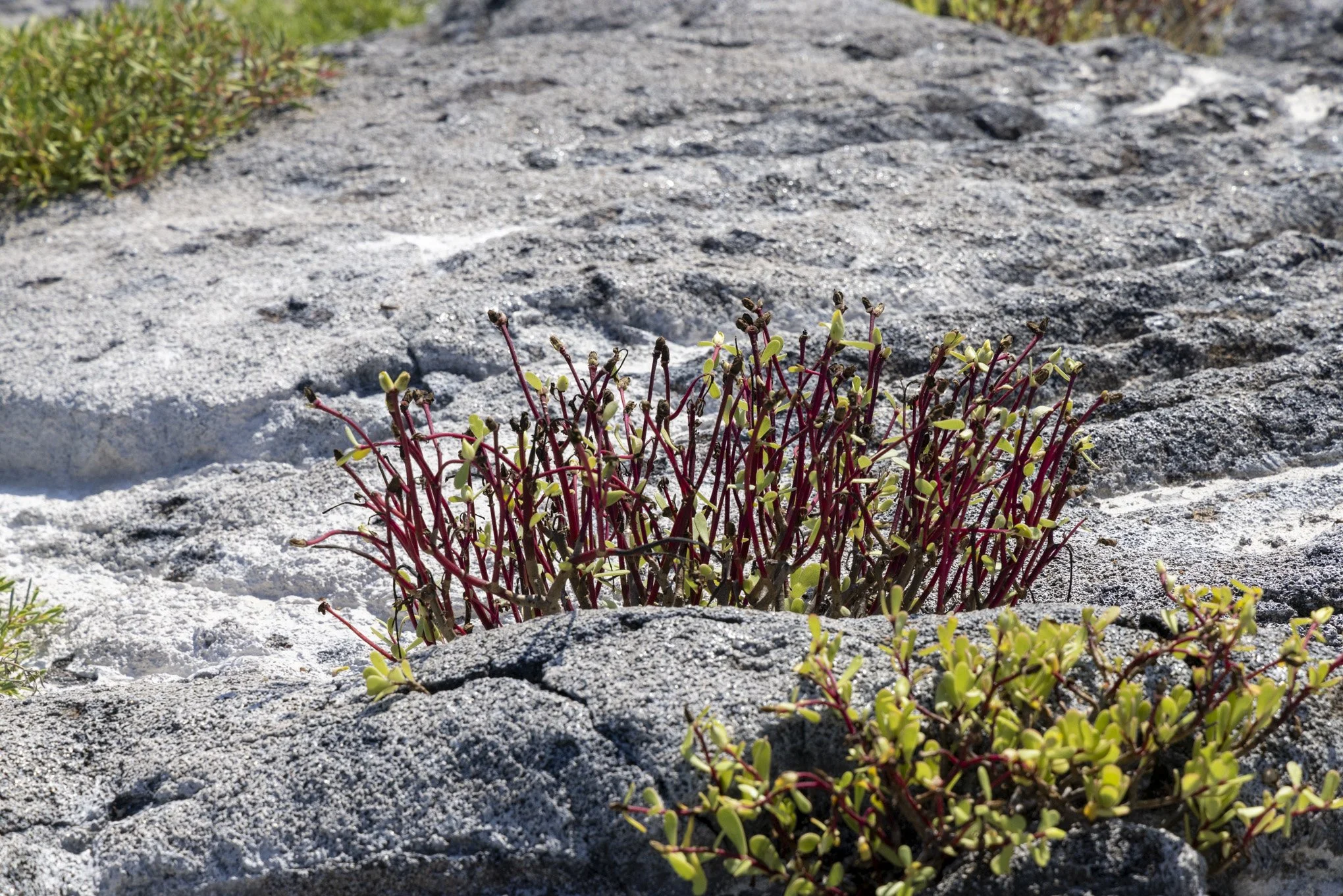 image1-104.jpg