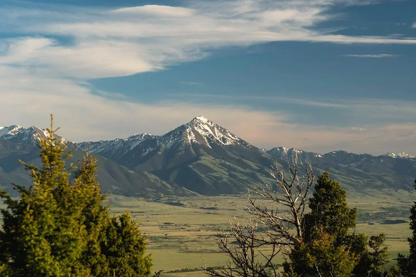Snow-capped mountain peaks against a partly cloudy sky, with green trees and a valley in the foreground.