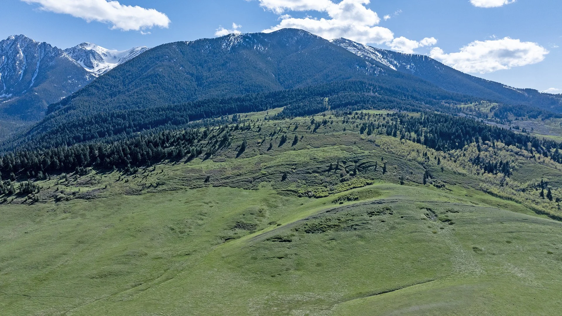 aerial-high-west-view.jpg