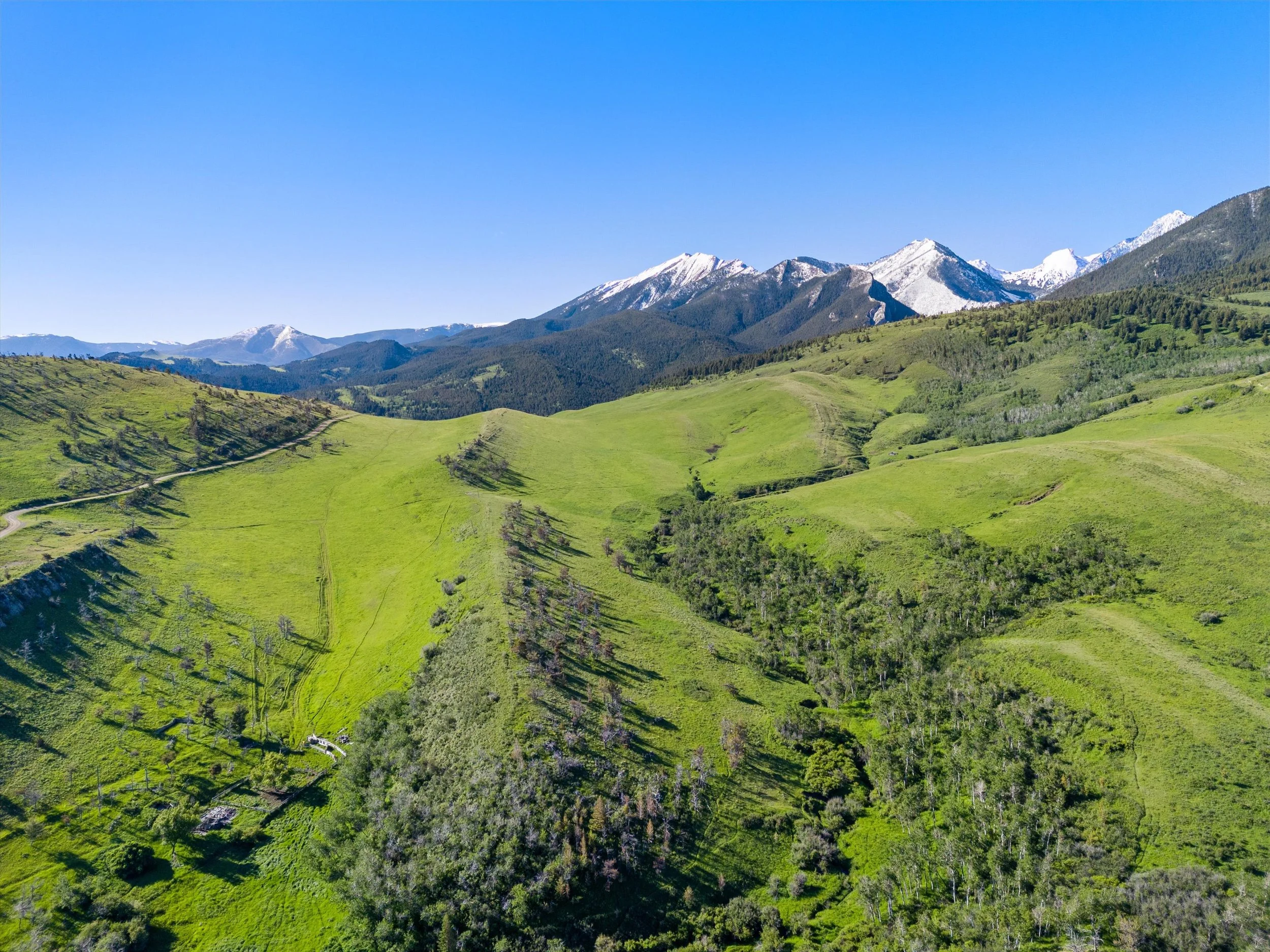 03-DJI_20240619084802_0438_D.jpg