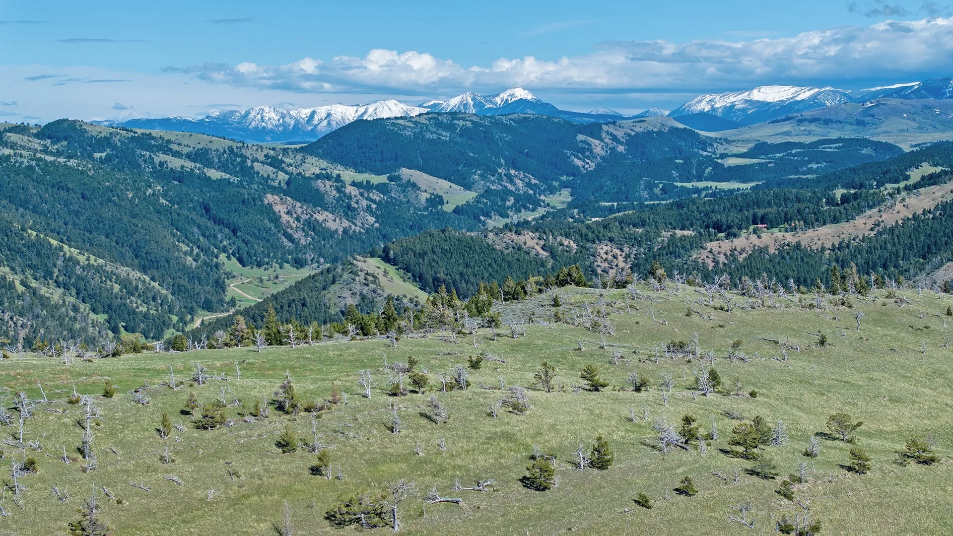 aerial-zoomed-southeast-view.jpg