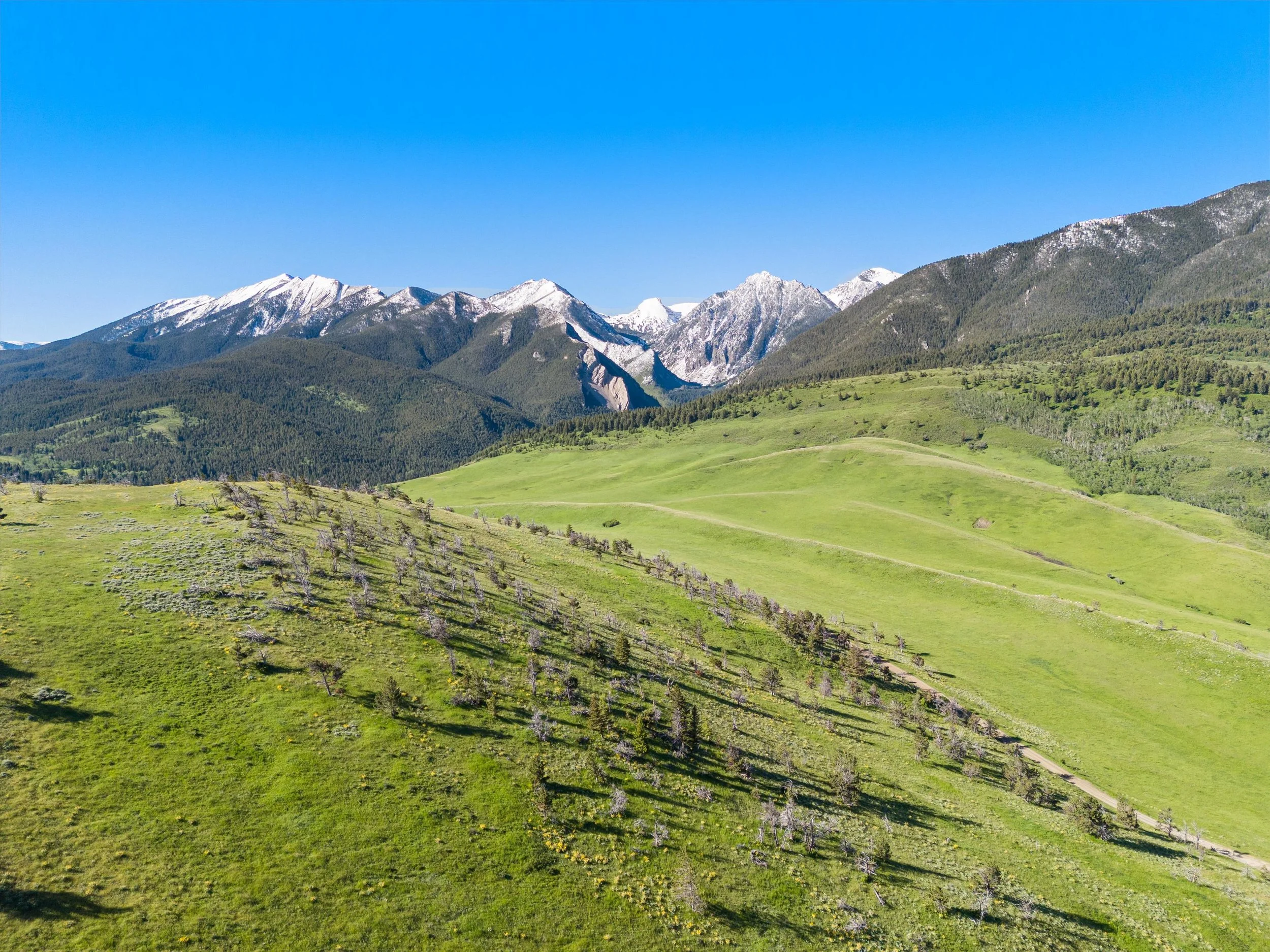 08-DJI_20240619084534_0418_D.jpg