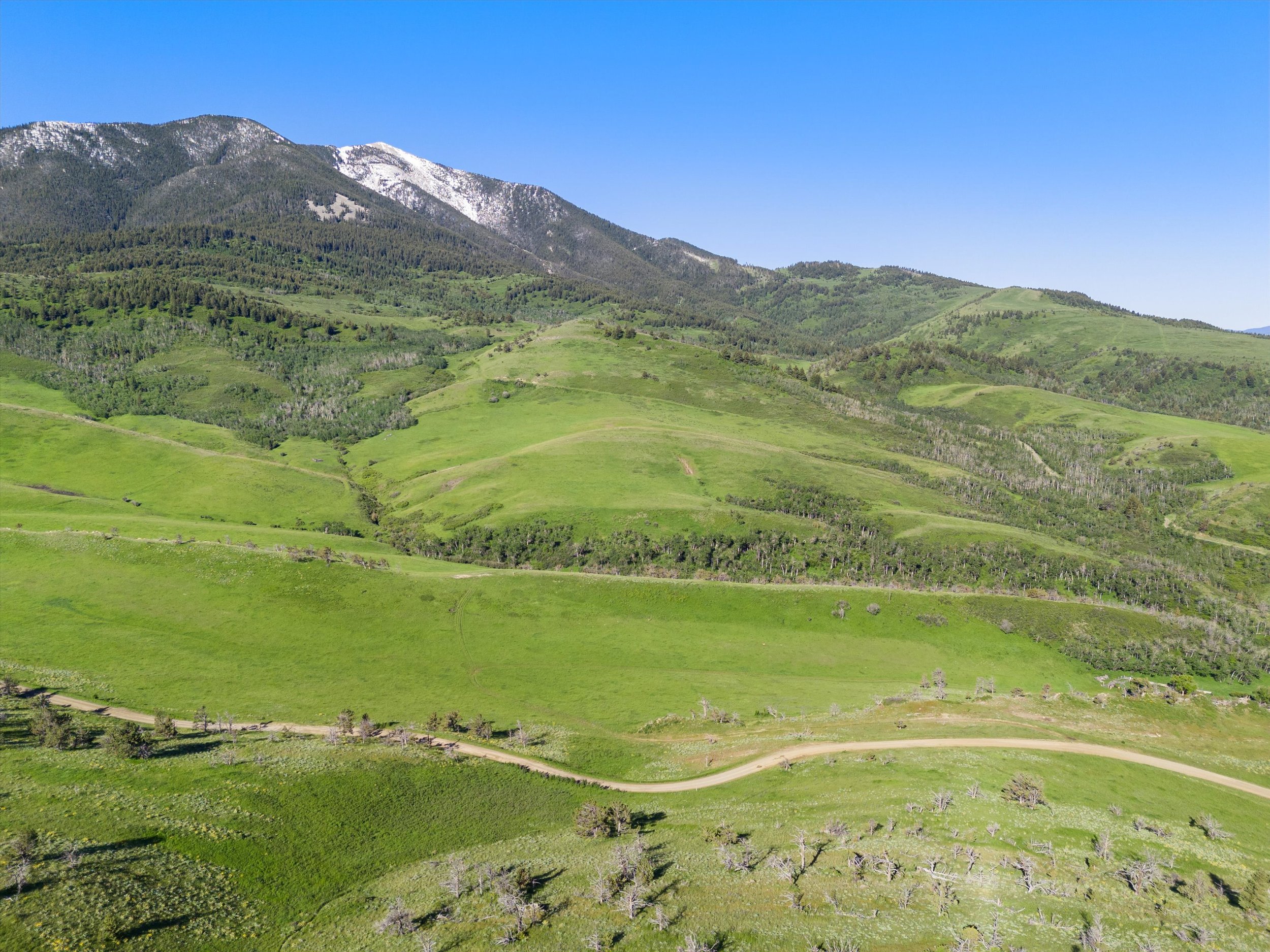 19-DJI_20240619084542_0423_D.jpg