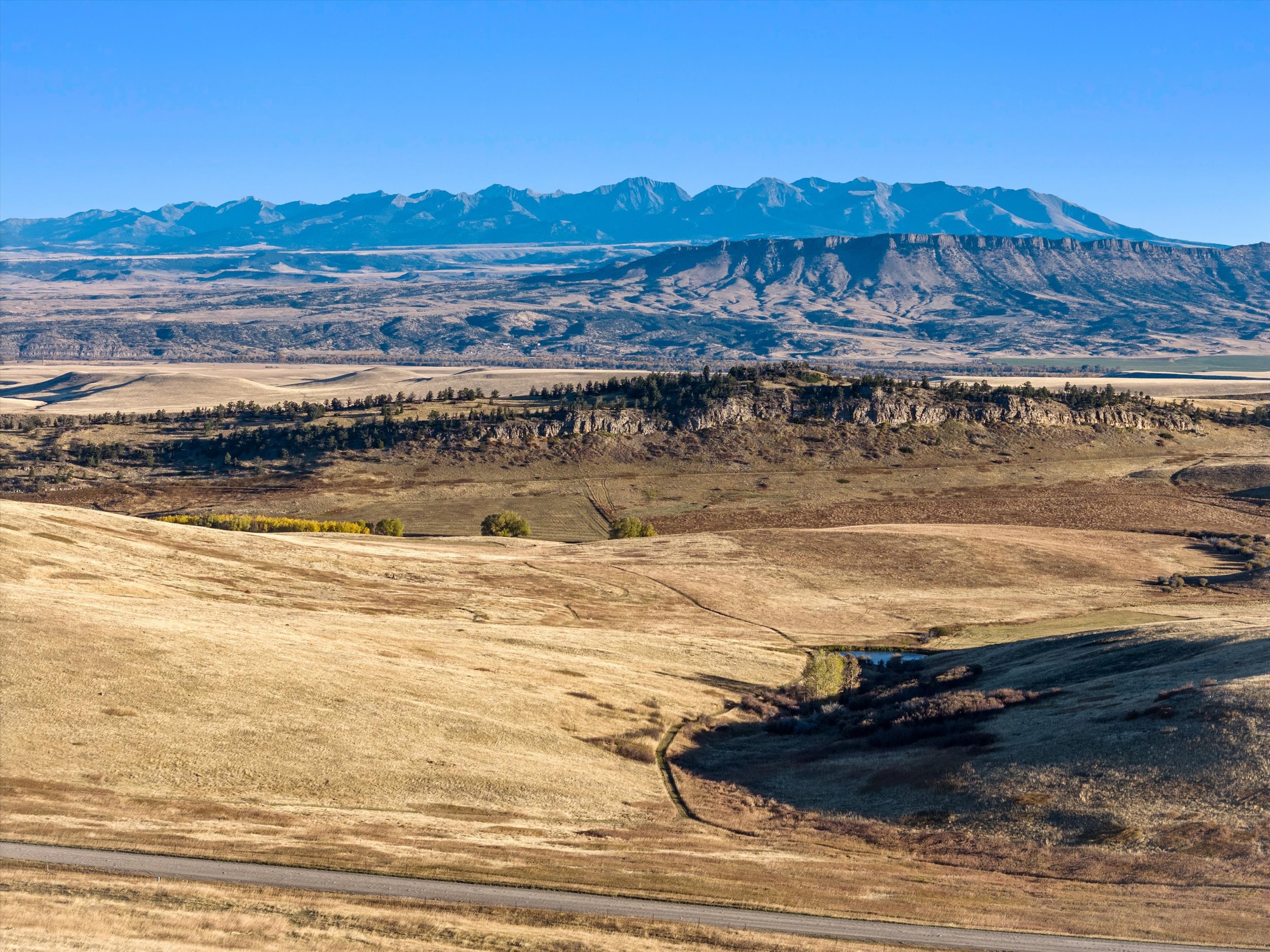 02-DJI_20241020085324_0163_D.jpg