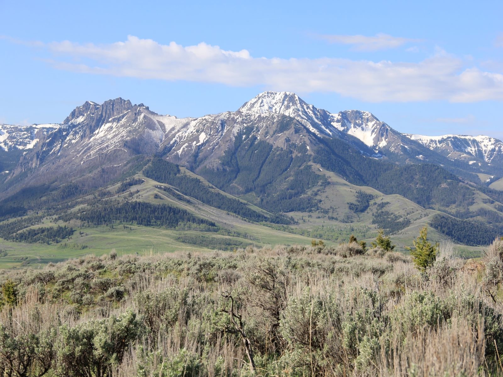 2019-06-05 08.46.39 resize.jpg