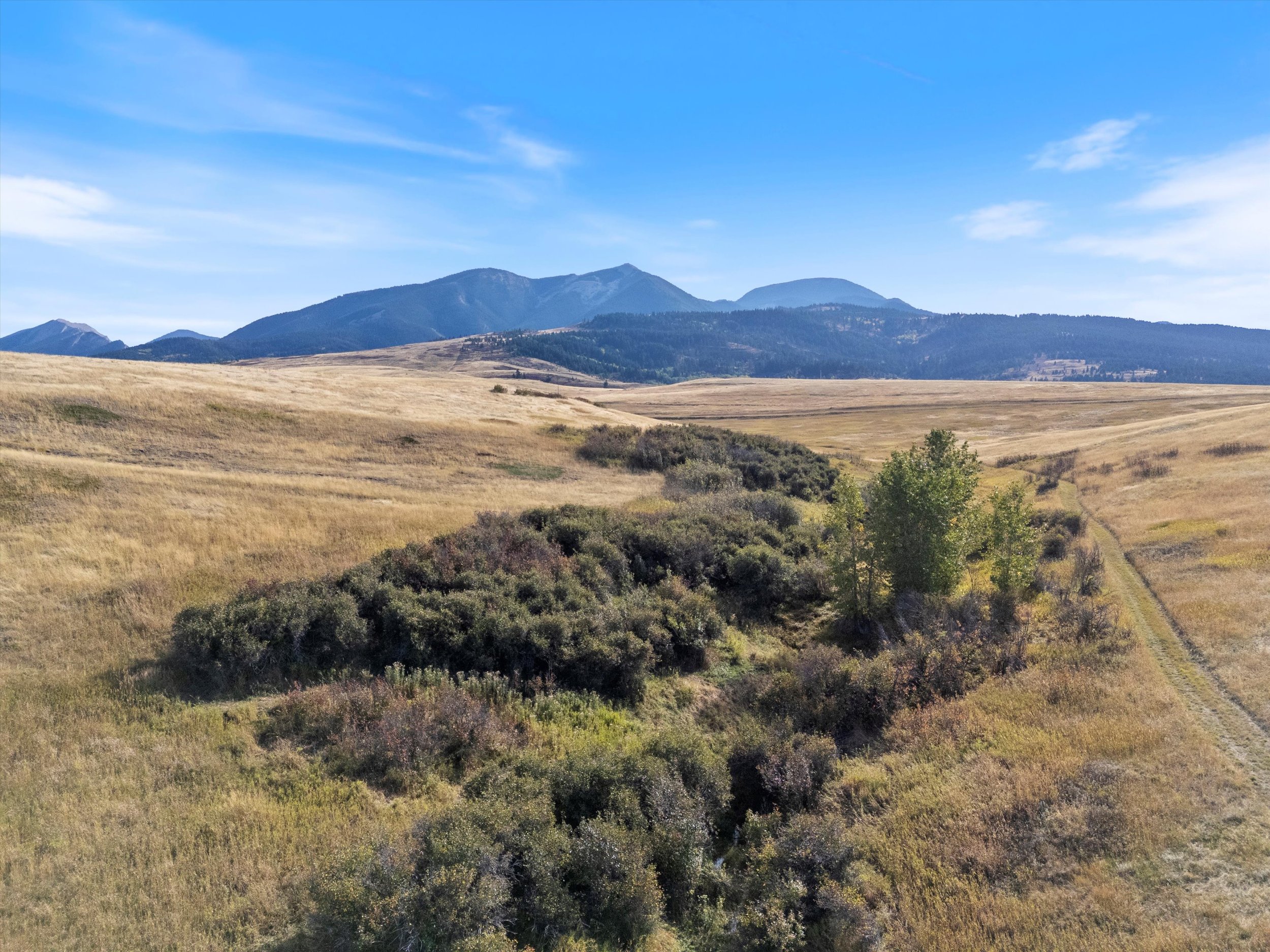 08-DJI_20241003152859_0705_D.jpg