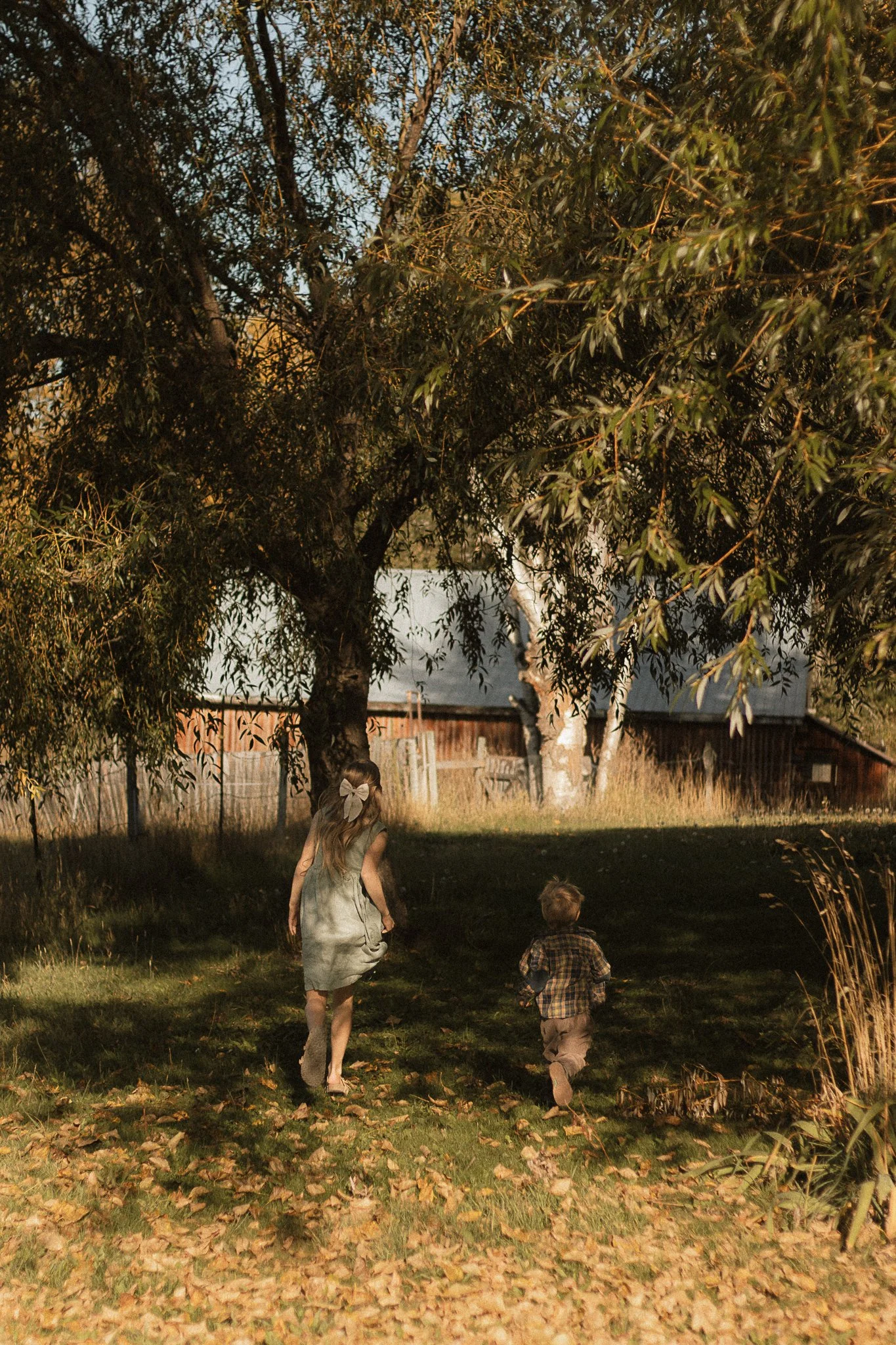 JackieLynnPhotography-717.jpg