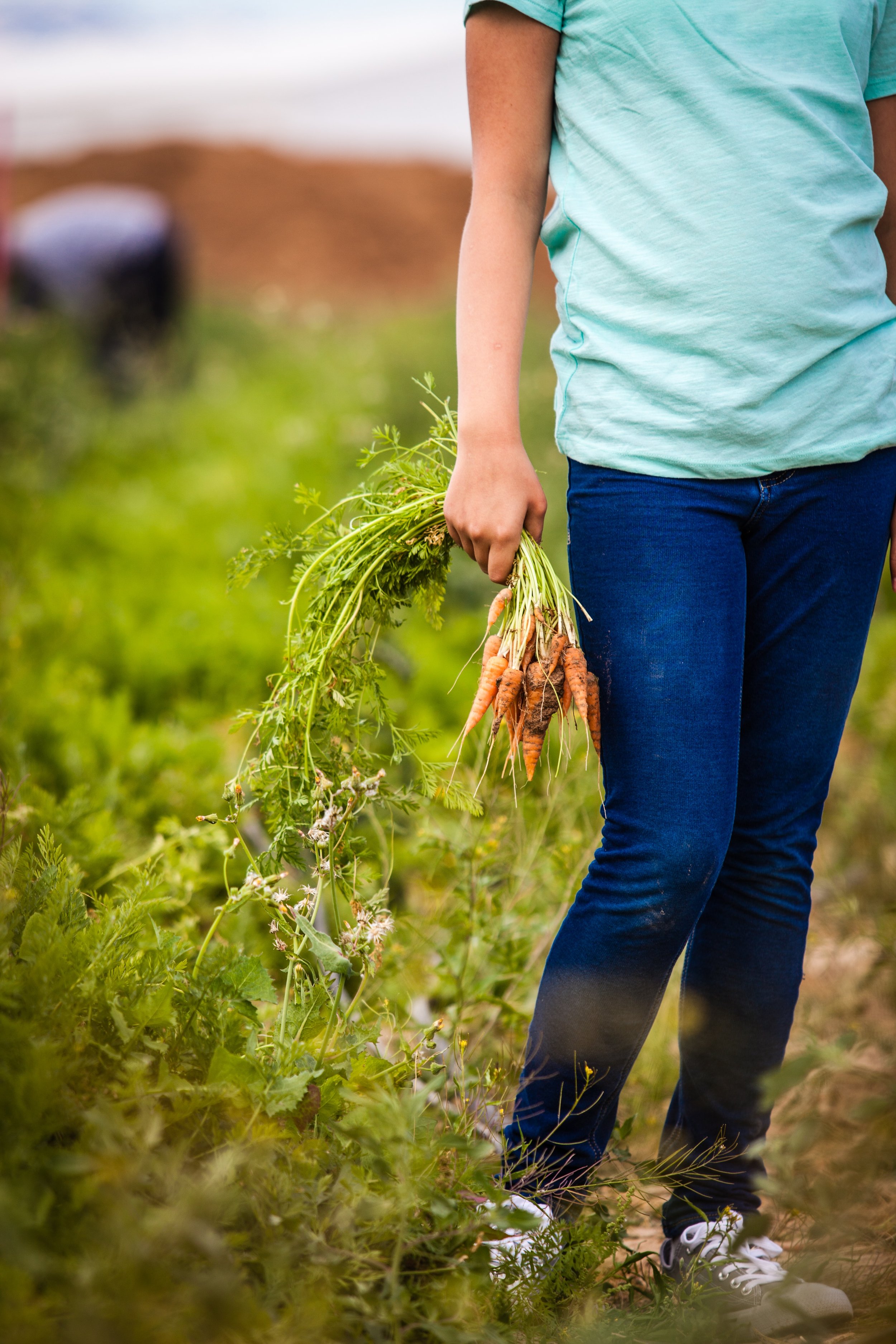Person_Holding_Carrots.jpg