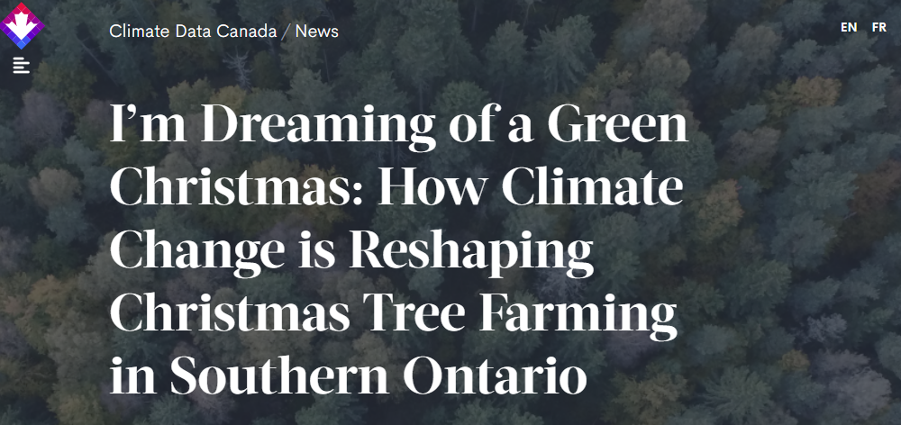 I’m Dreaming of a Green Christmas: How Climate Change is Reshaping Christmas Tree Farming in Southern Ontario