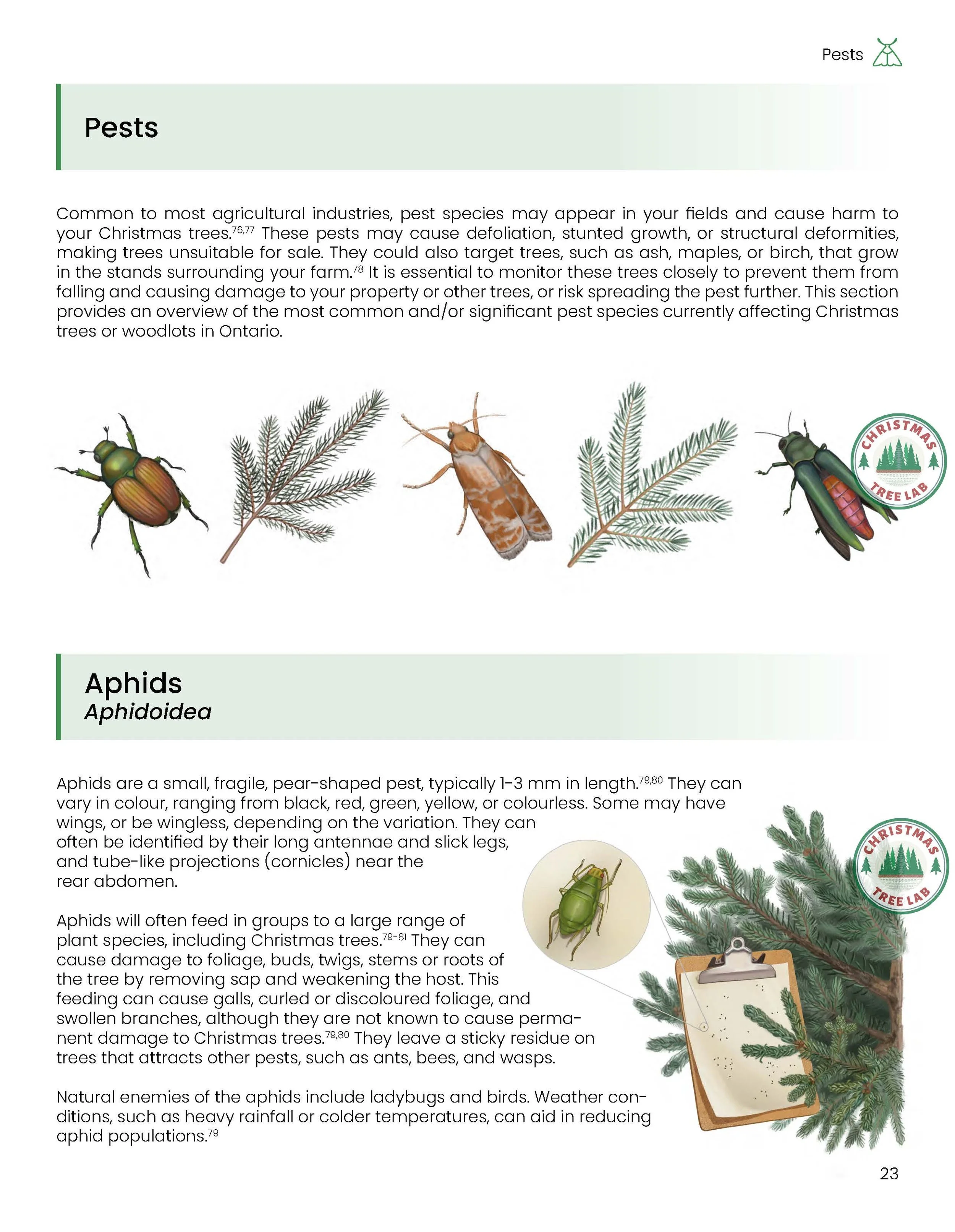 TheGrowersGlossary-logos-Nov2025_Page_24.jpg