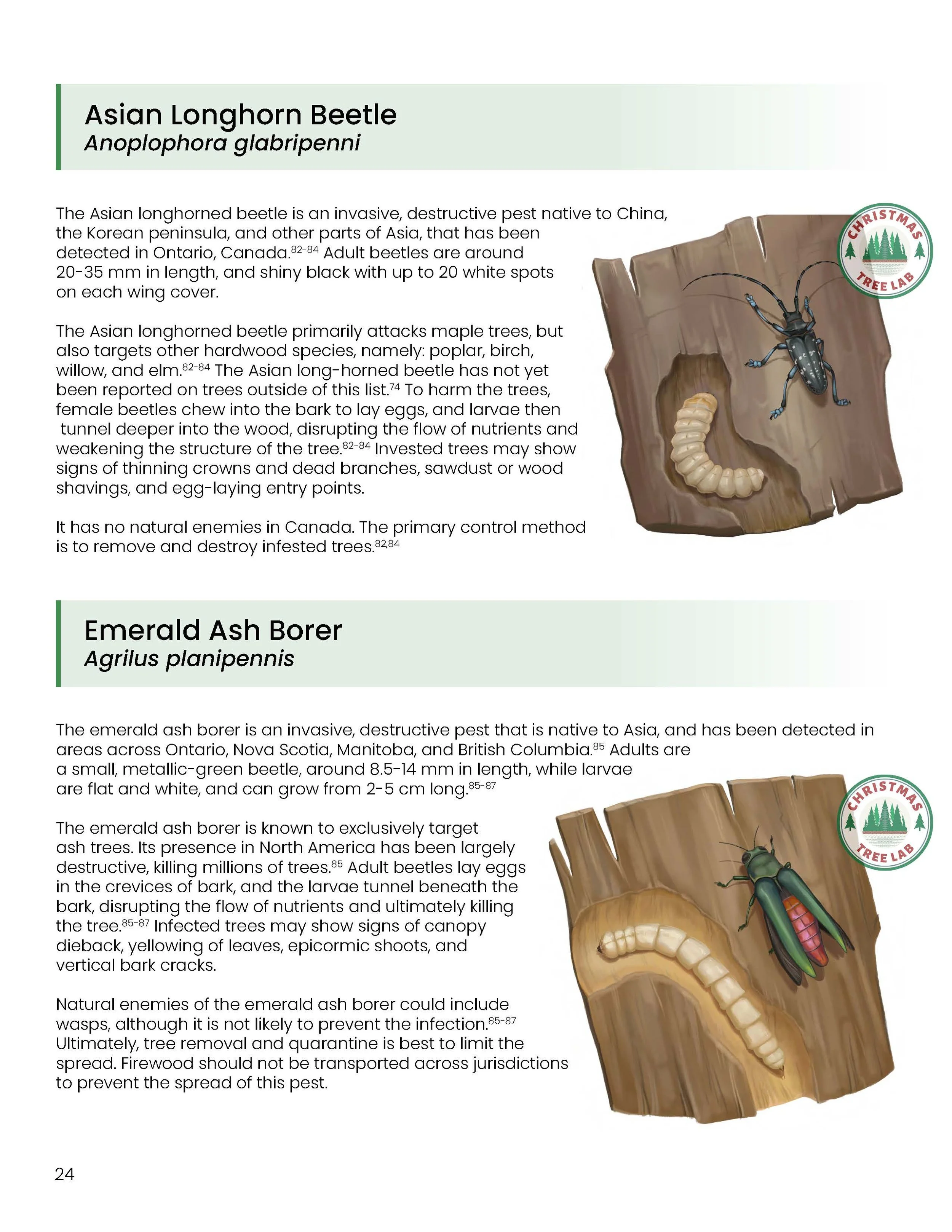 TheGrowersGlossary-logos-Nov2025_Page_25.jpg